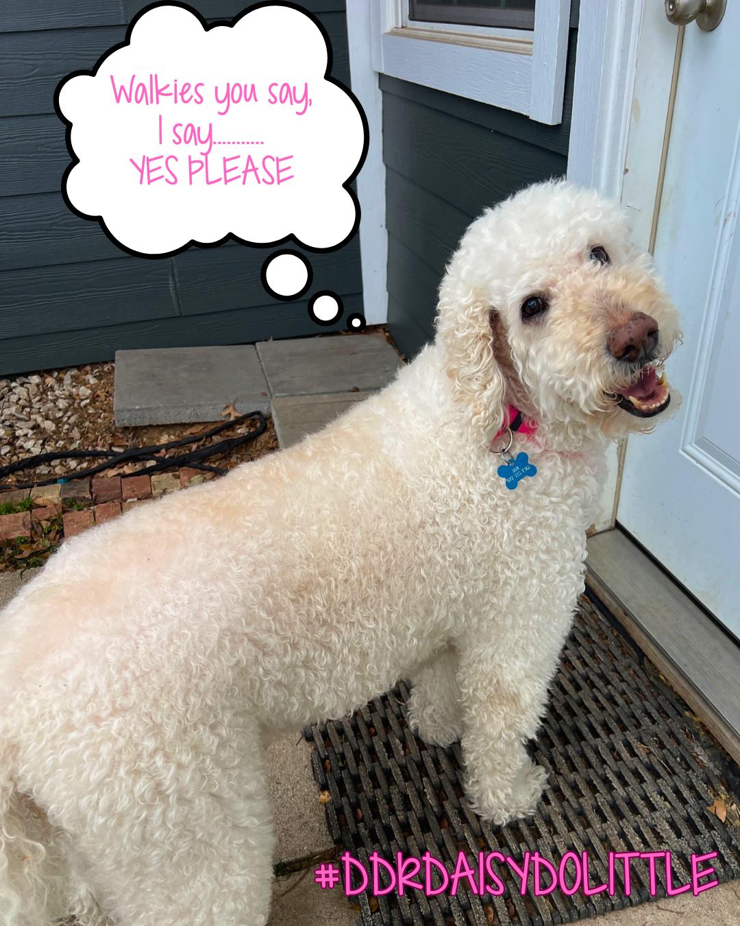 Daisy Dolittle thumbnail 2