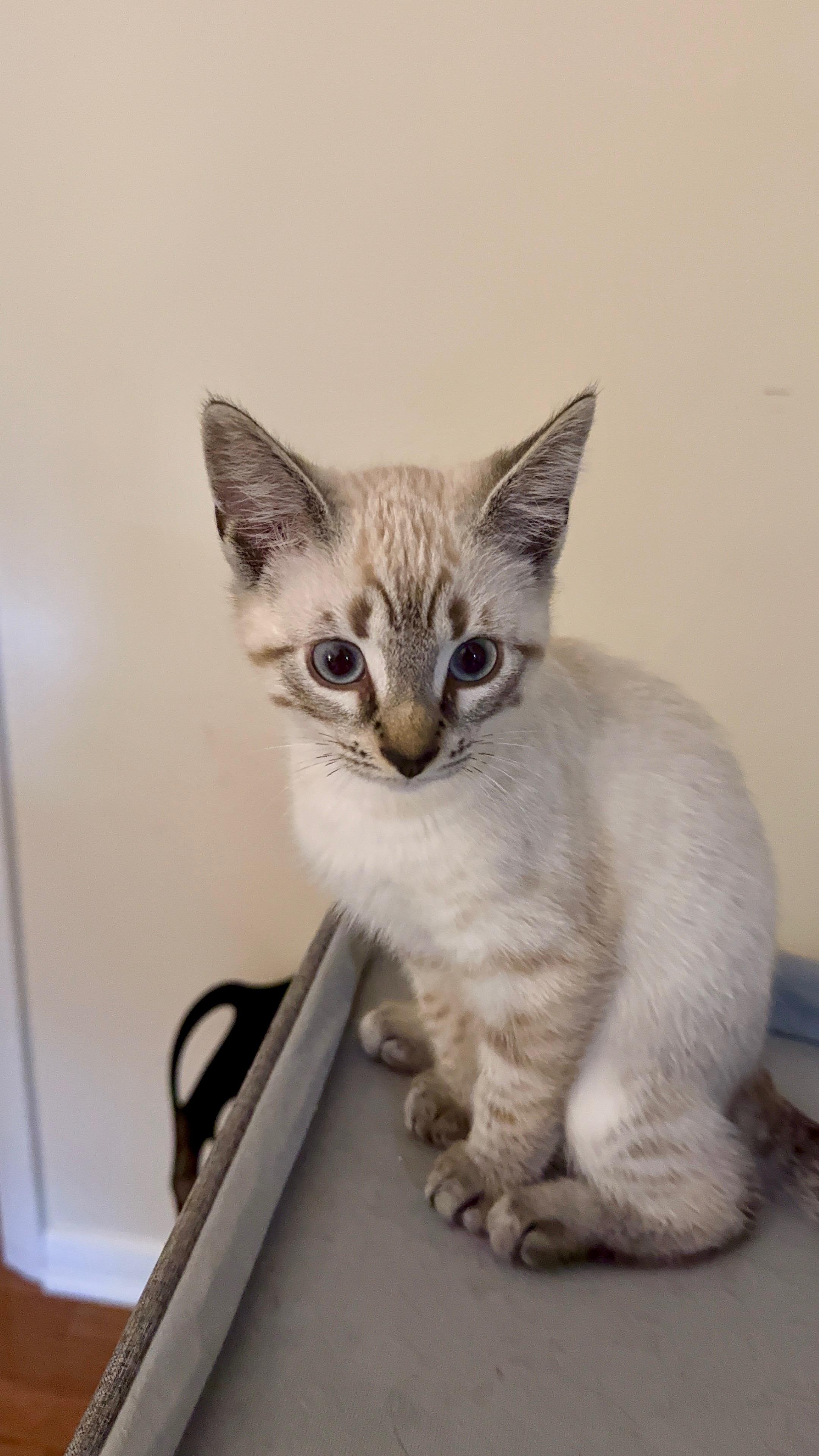 Sparky and Mindy O'Malley