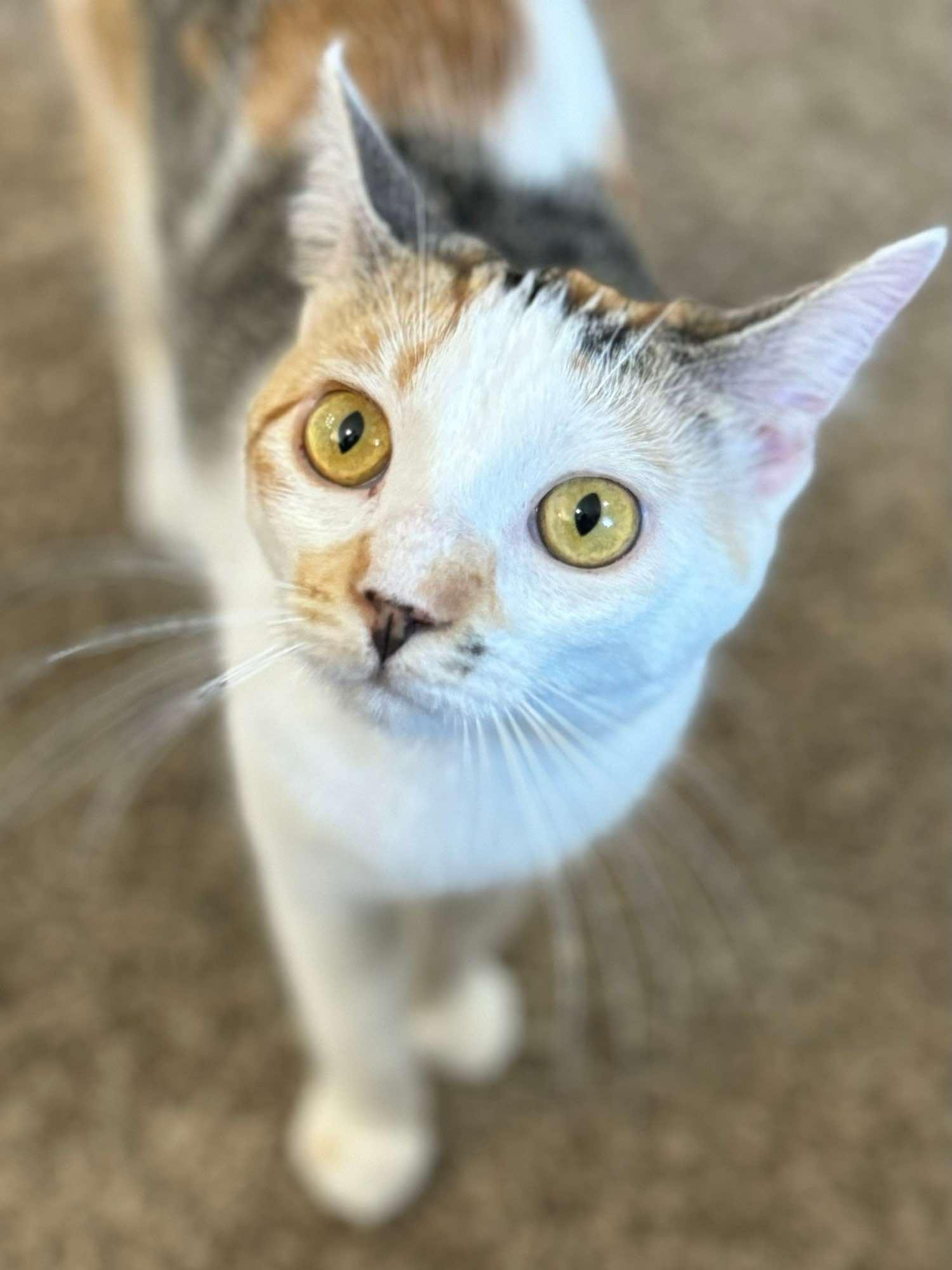 Edith