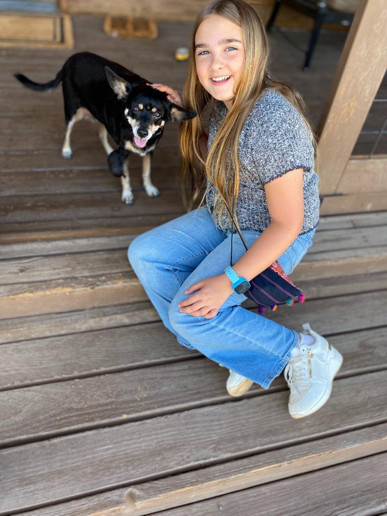 Enlarge Molly, a Adoptable mixed breed in El Cajon, CA image 1/6