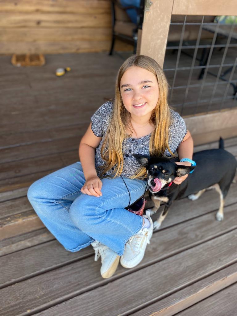 Enlarge Molly, a Adoptable mixed breed in El Cajon, CA image 5/6