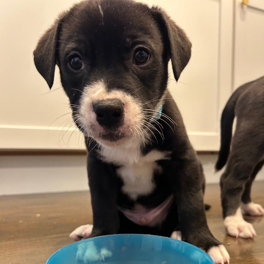 Mission D thumbnail 2