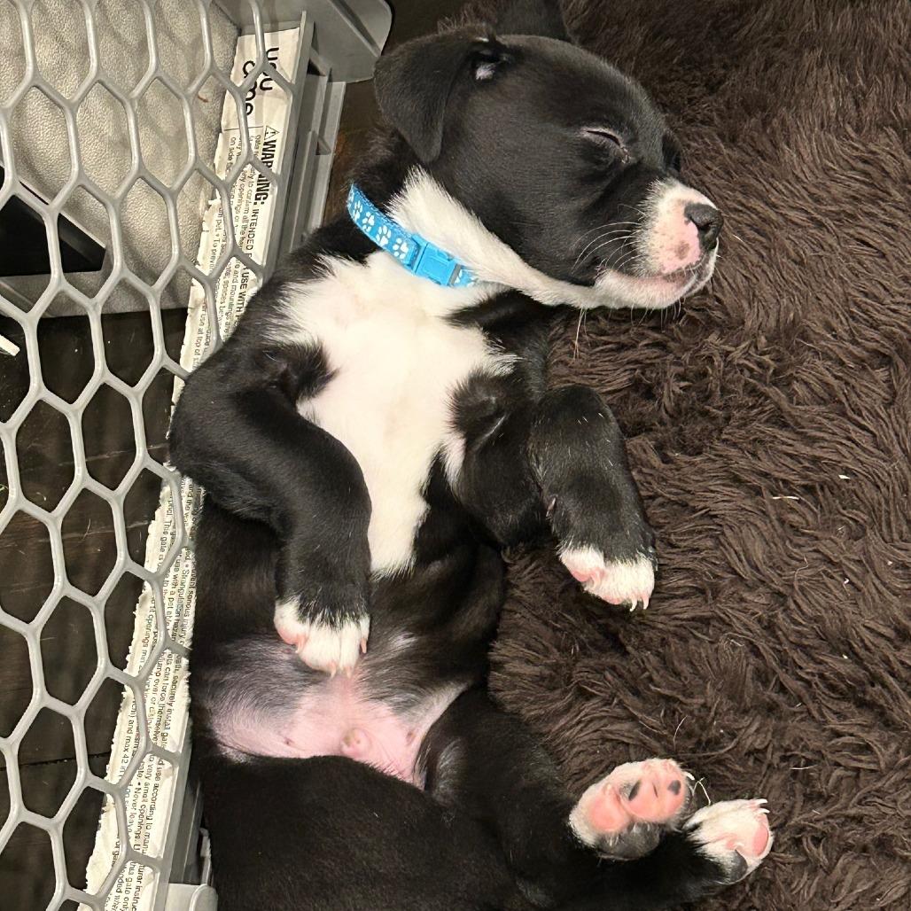 Mission D thumbnail 3