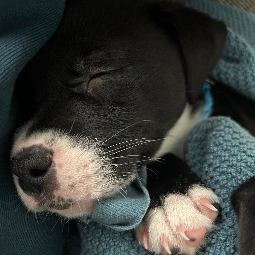 Mission D thumbnail 4