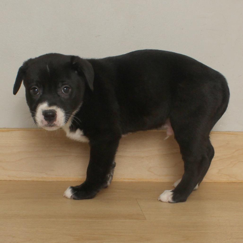 Mission D thumbnail 5