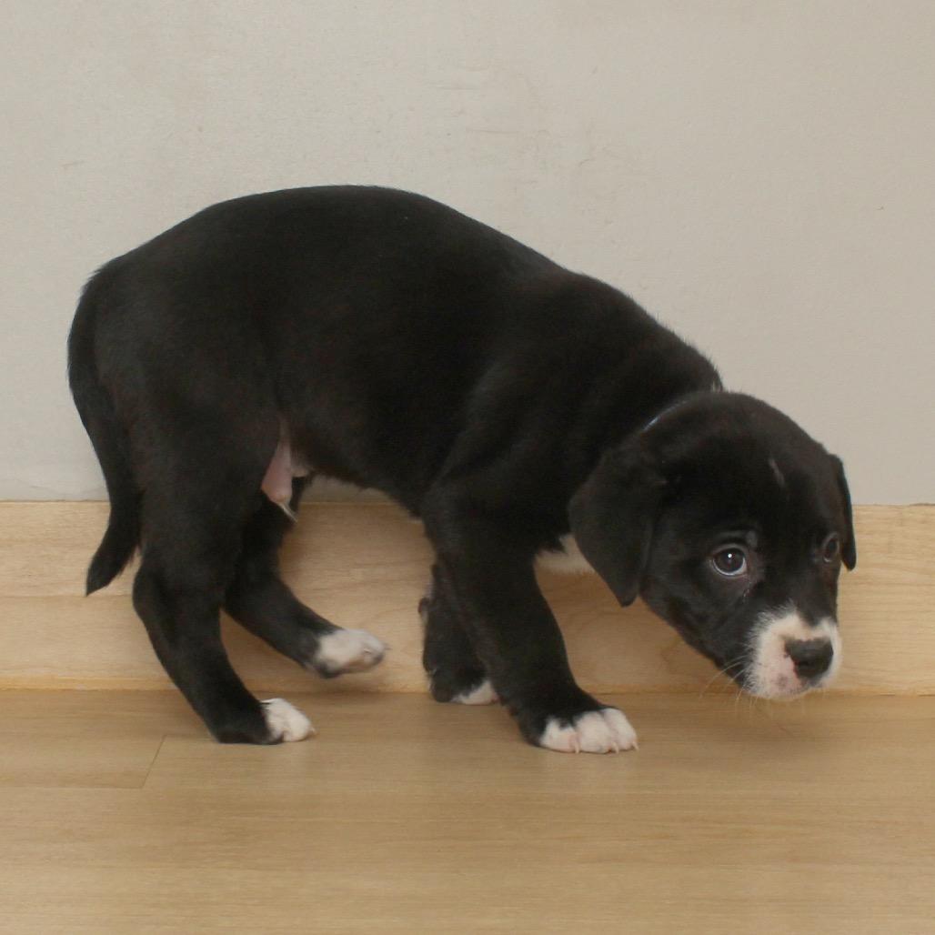 Mission D thumbnail 6