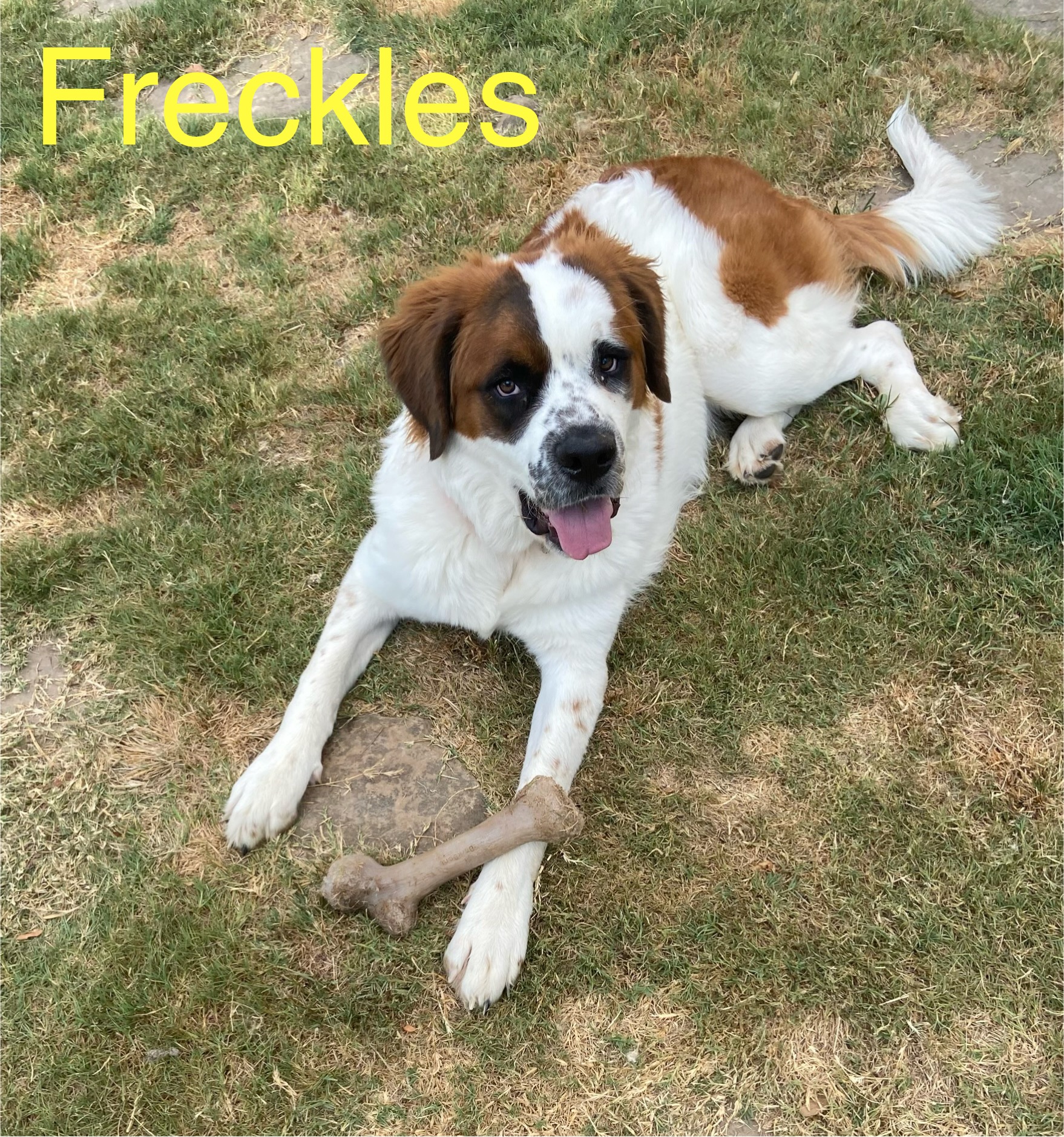 Freckles, Baby Female unknown