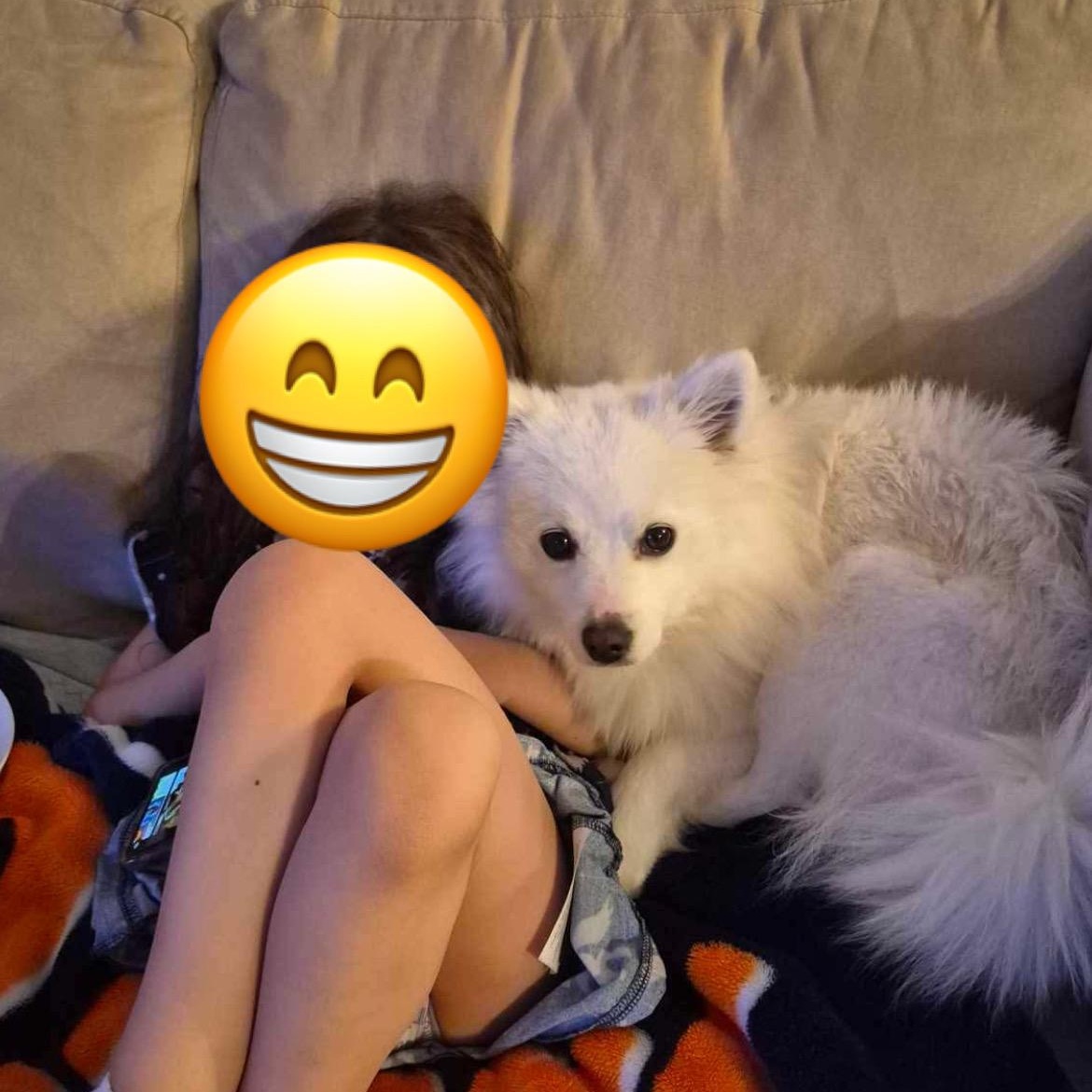 Enlarge Mika, an adopted mixed breed in Edmonton, AB image 4/5