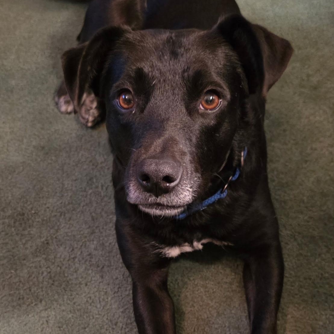 Juliette thumbnail 2