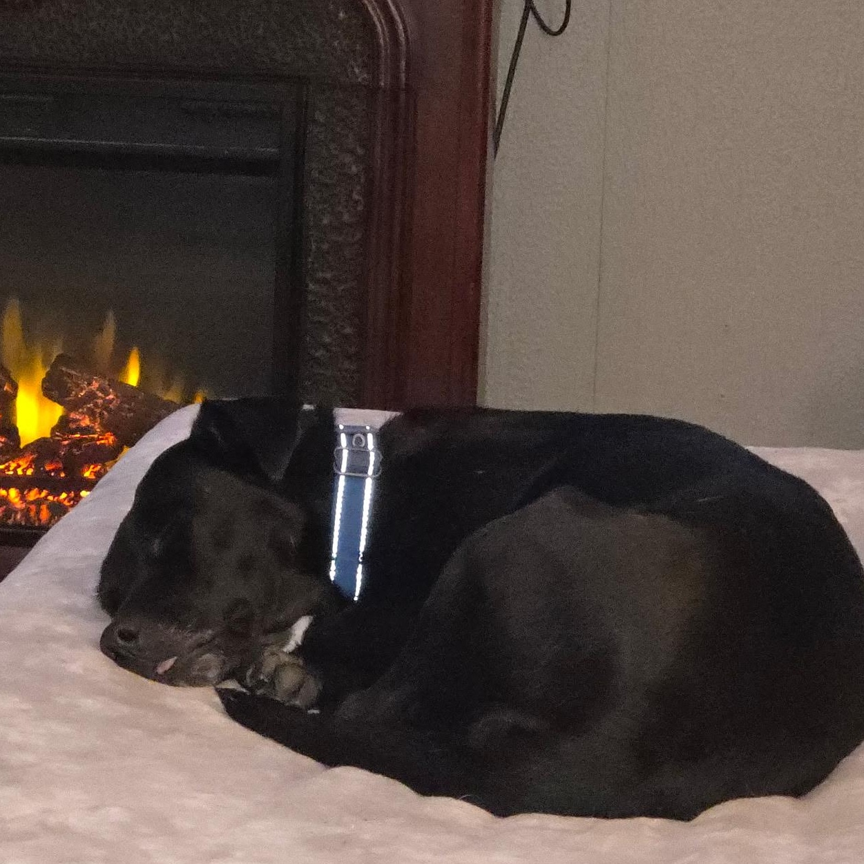 Juliette thumbnail 5