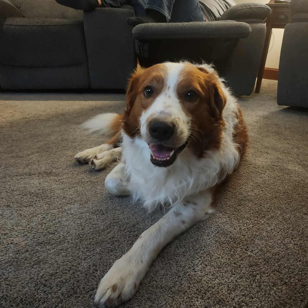 Levi!!, Adult Male unknown