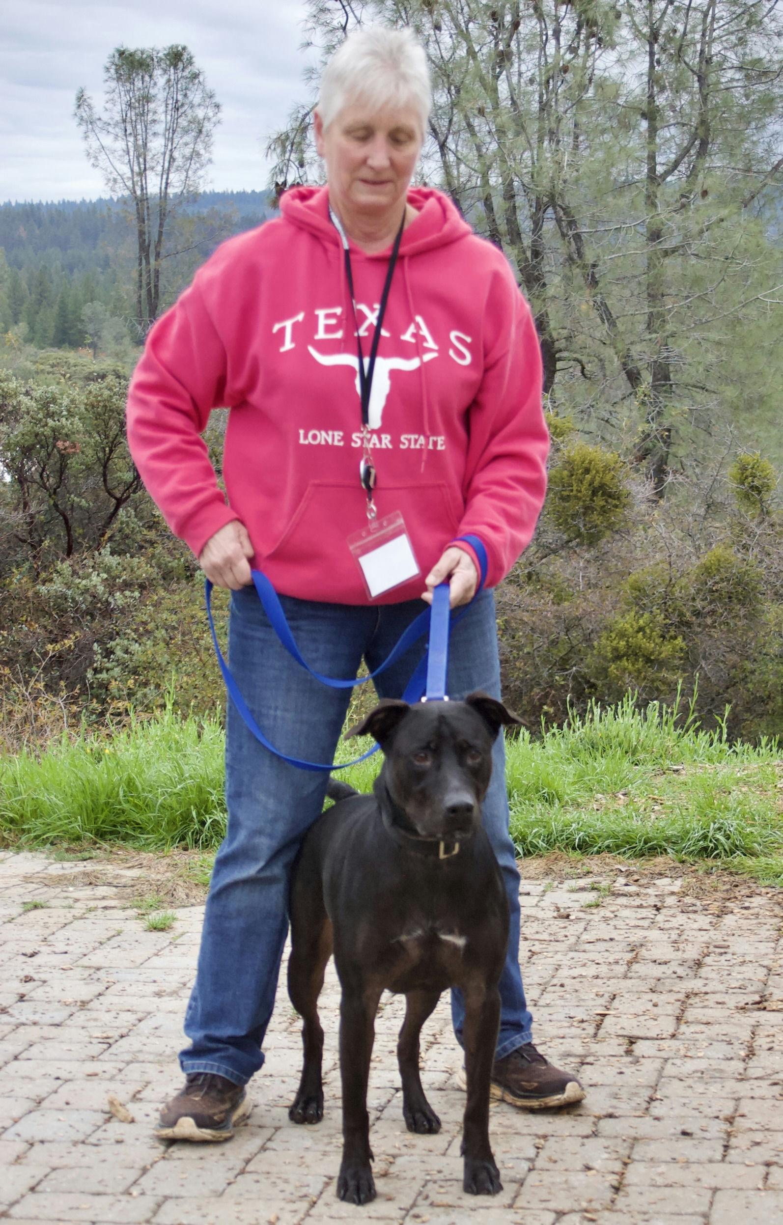 Kilo, a Adoptable mixed breed in Grass Valley, CA image 3/3