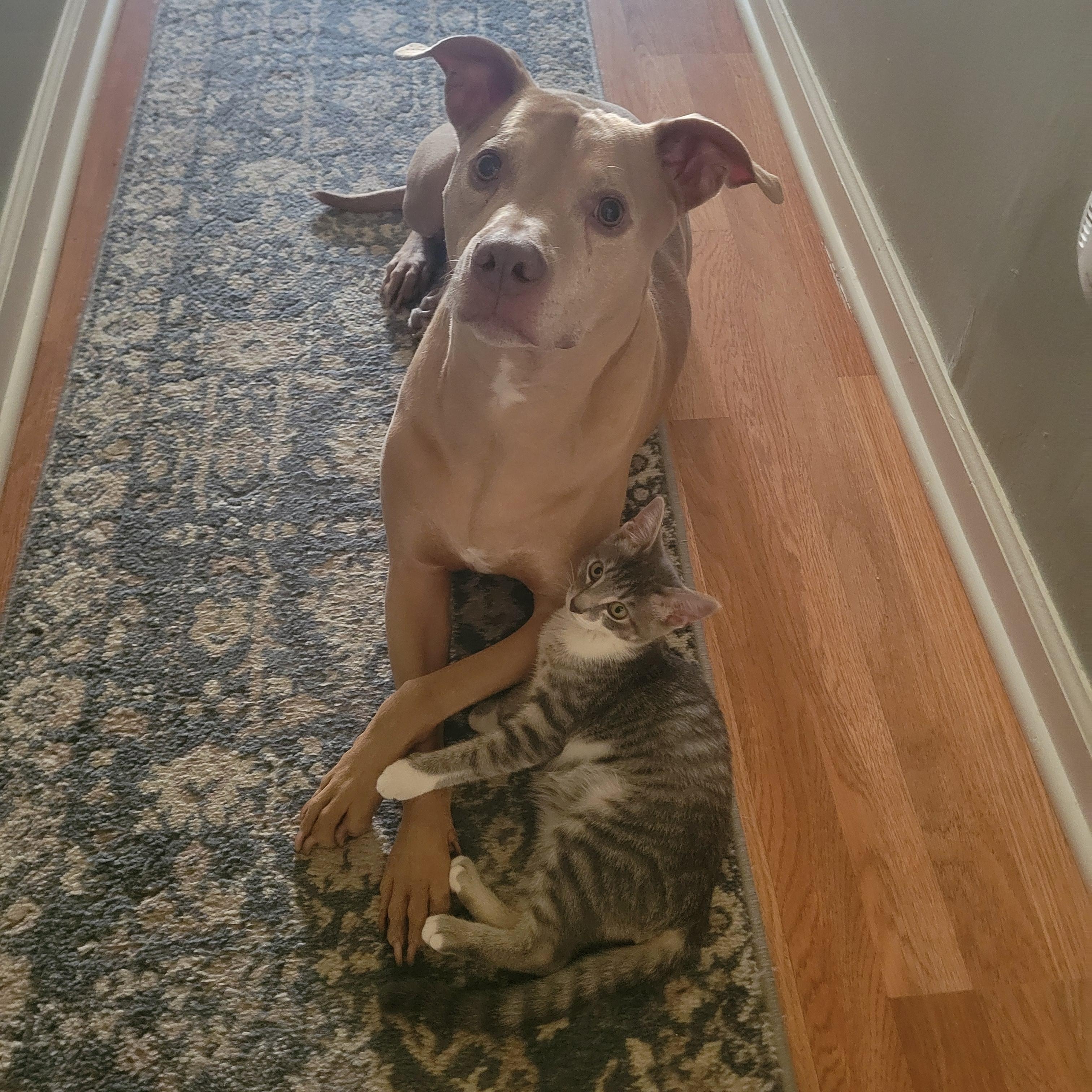 Thigh Master & Flex Seal