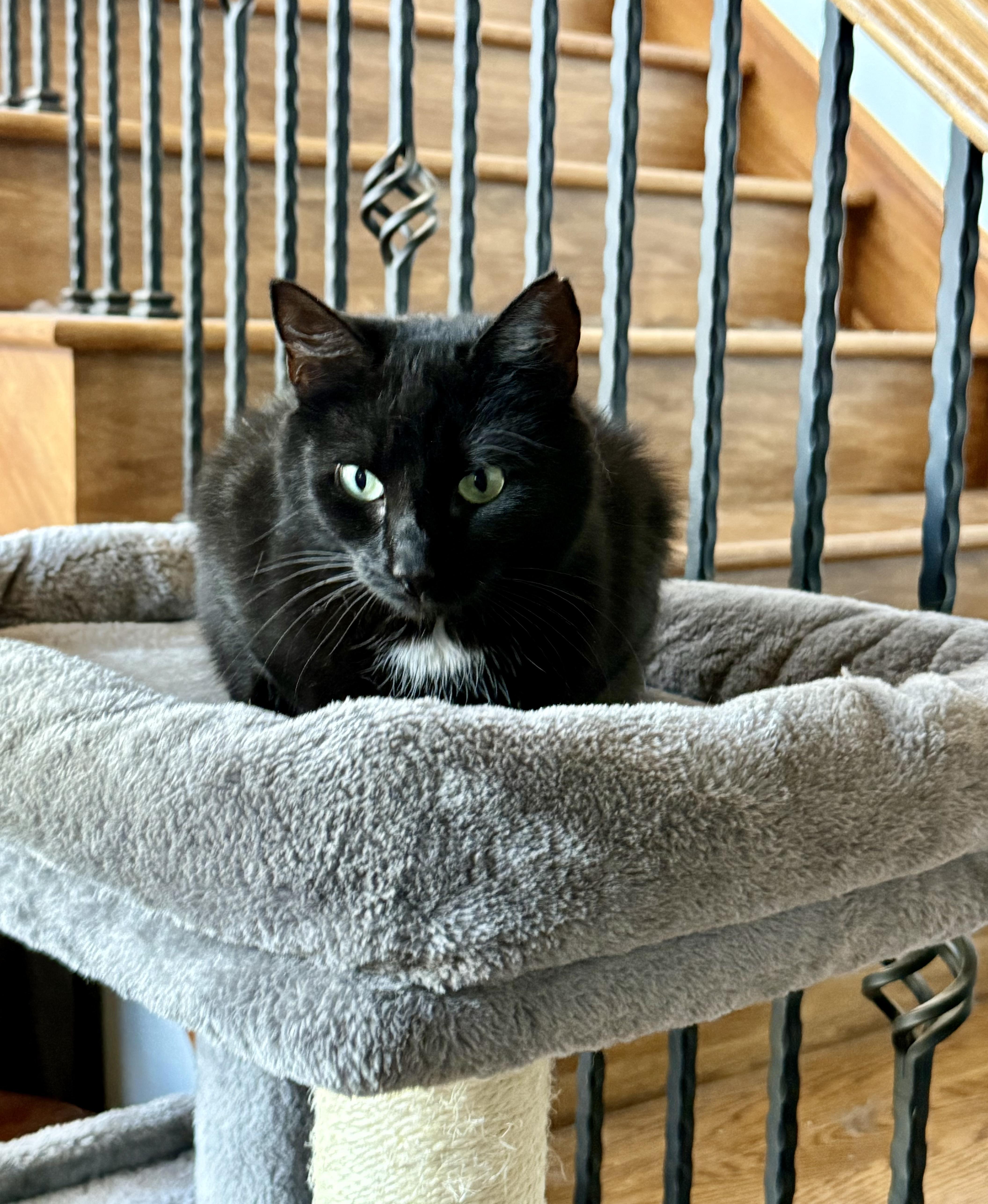 Mia