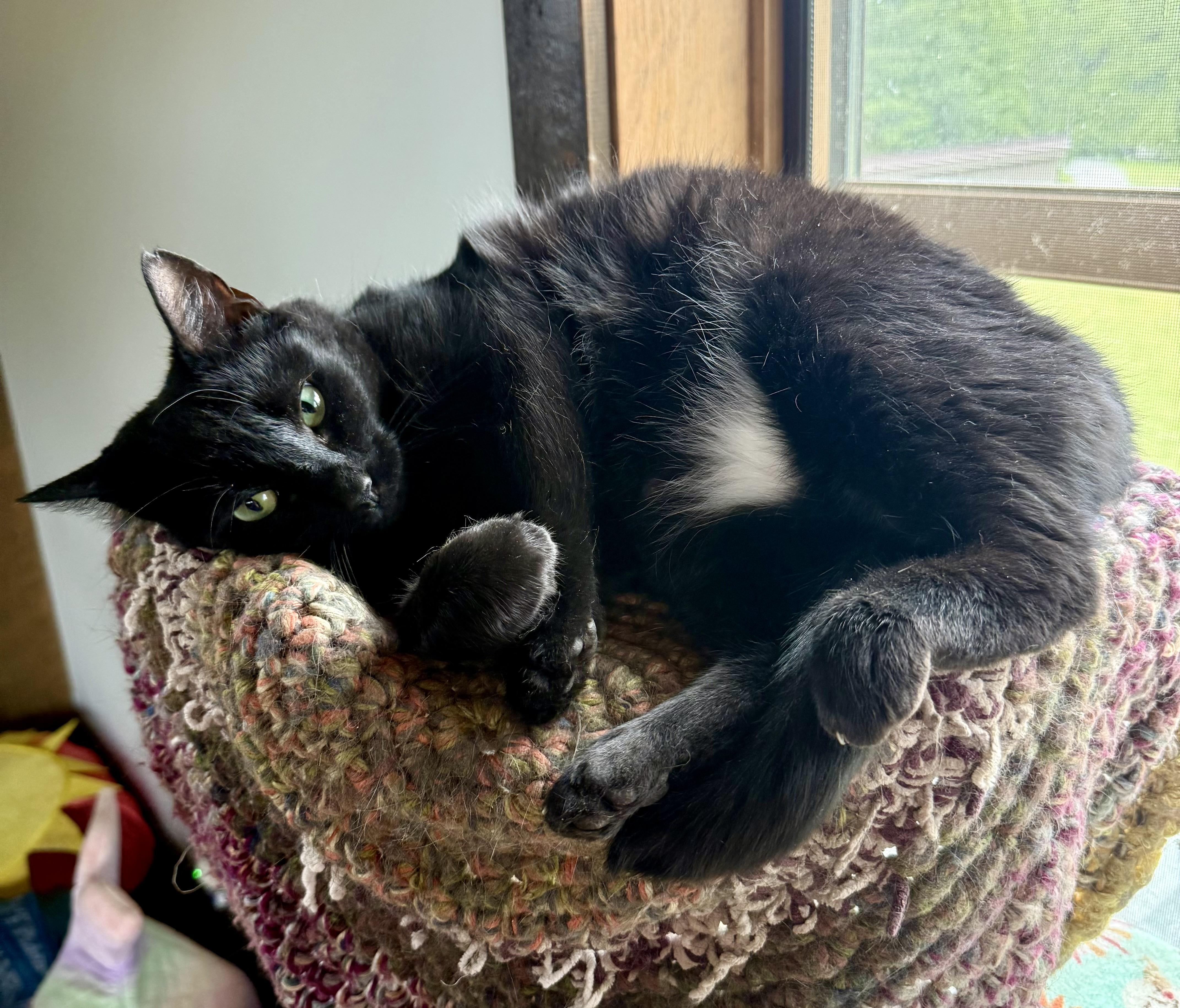 Mia