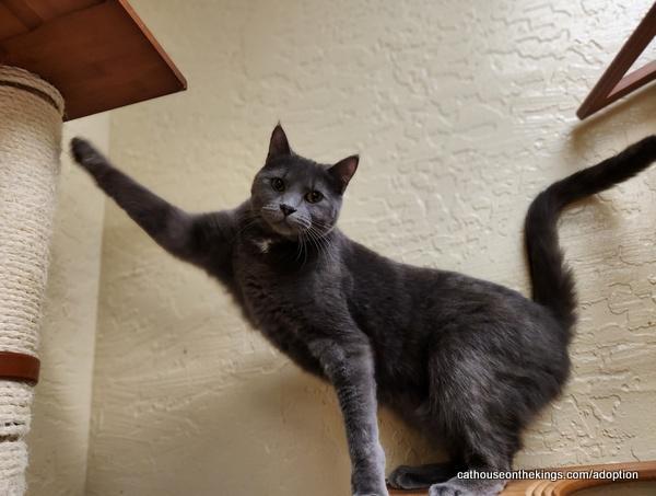 Pandora — thumbnail 5