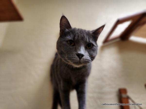 Pandora — thumbnail 6