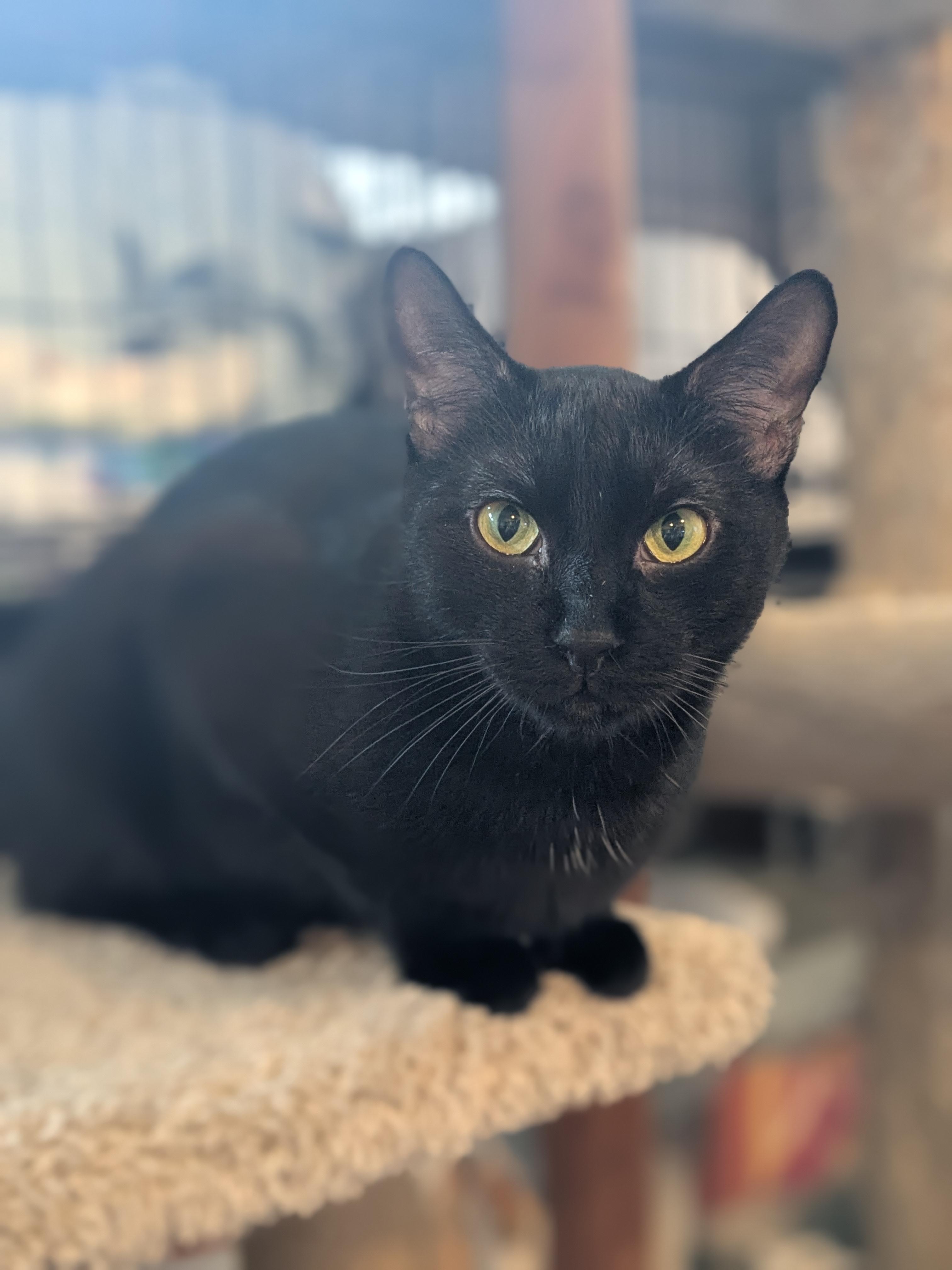 Kiki photo 5