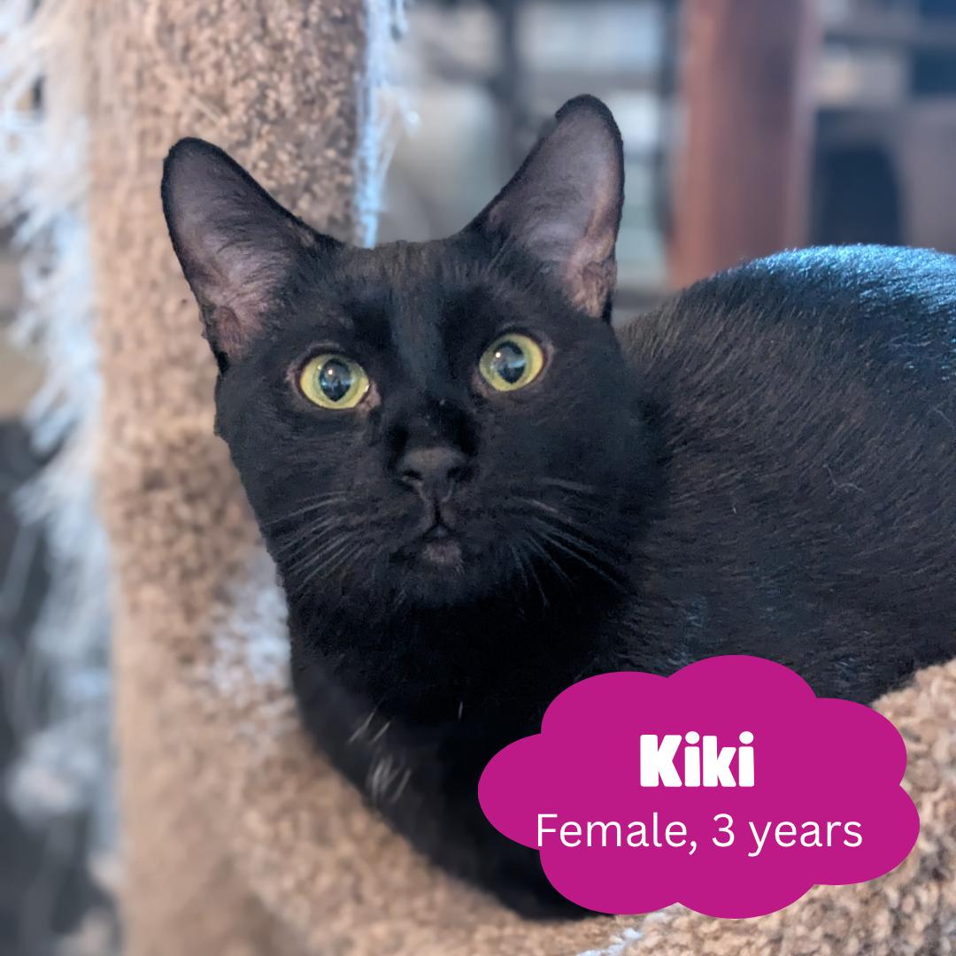 Kiki
