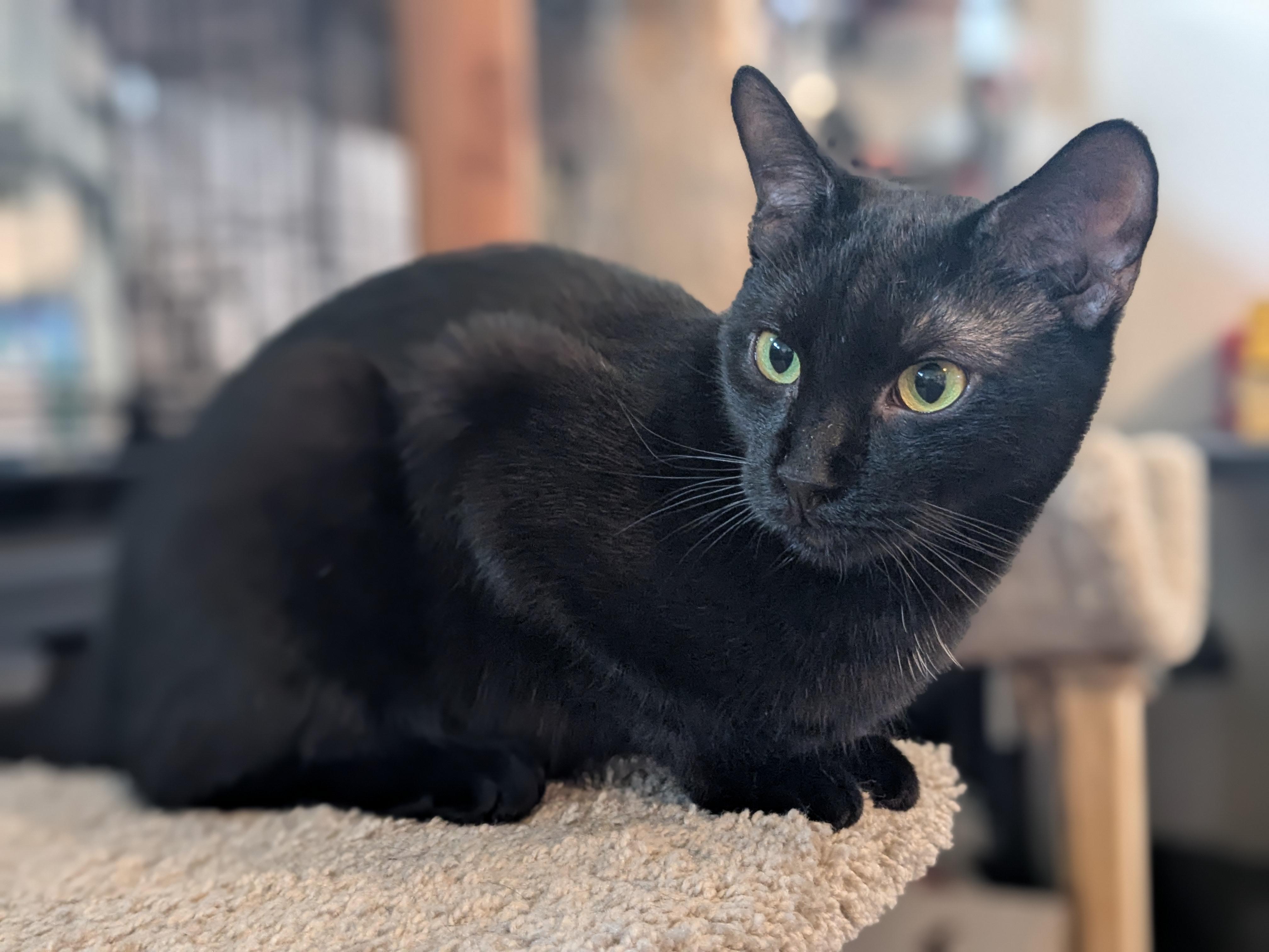 Kiki photo 4