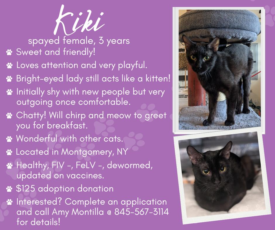 Kiki photo 2