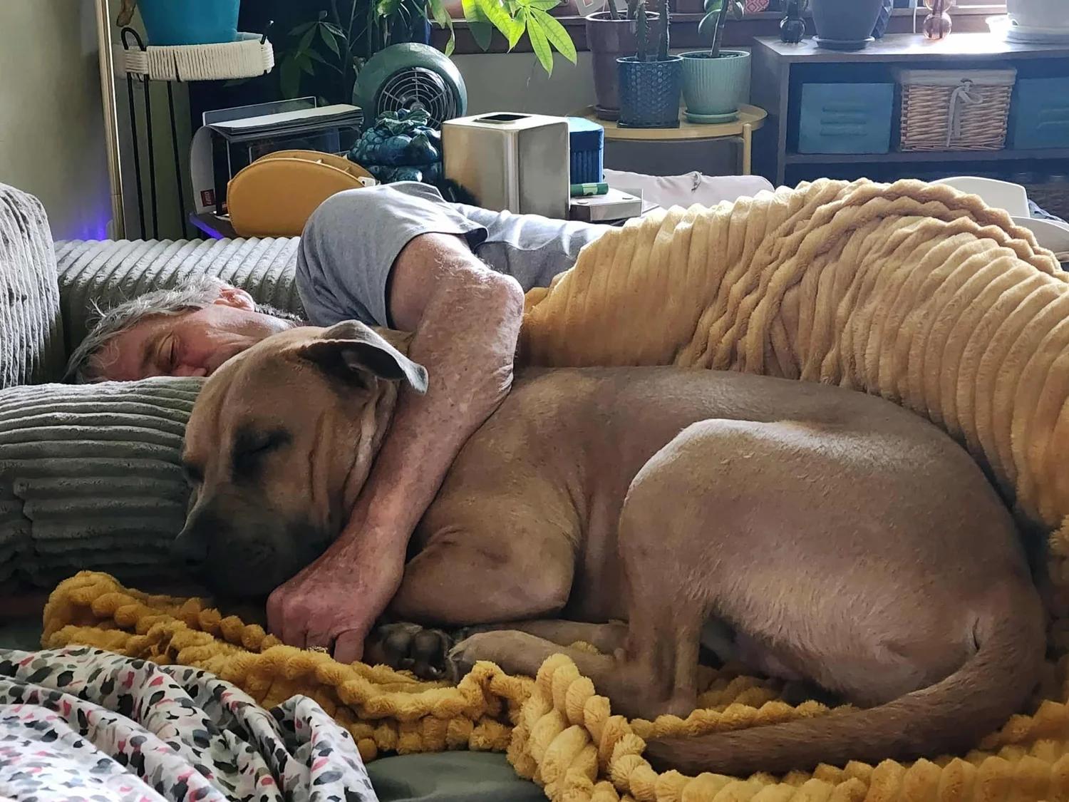 Buddy - FOSTER NEEDED!!!