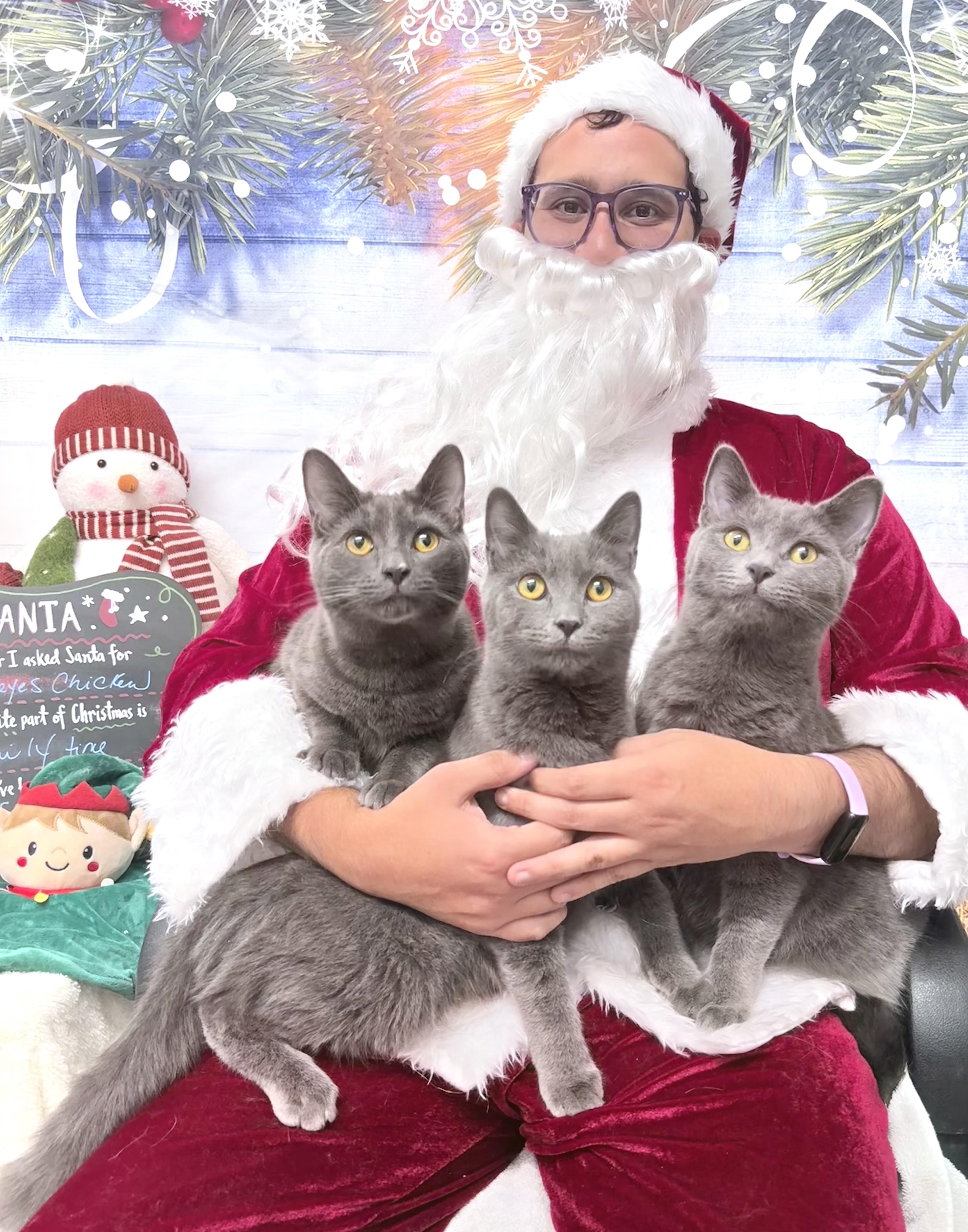 Chonathan  Chulianna  thumbnail 3