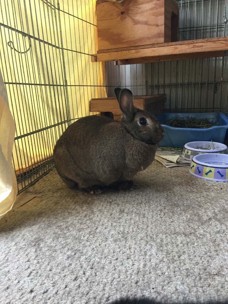 Forever in Our Care: Betsy