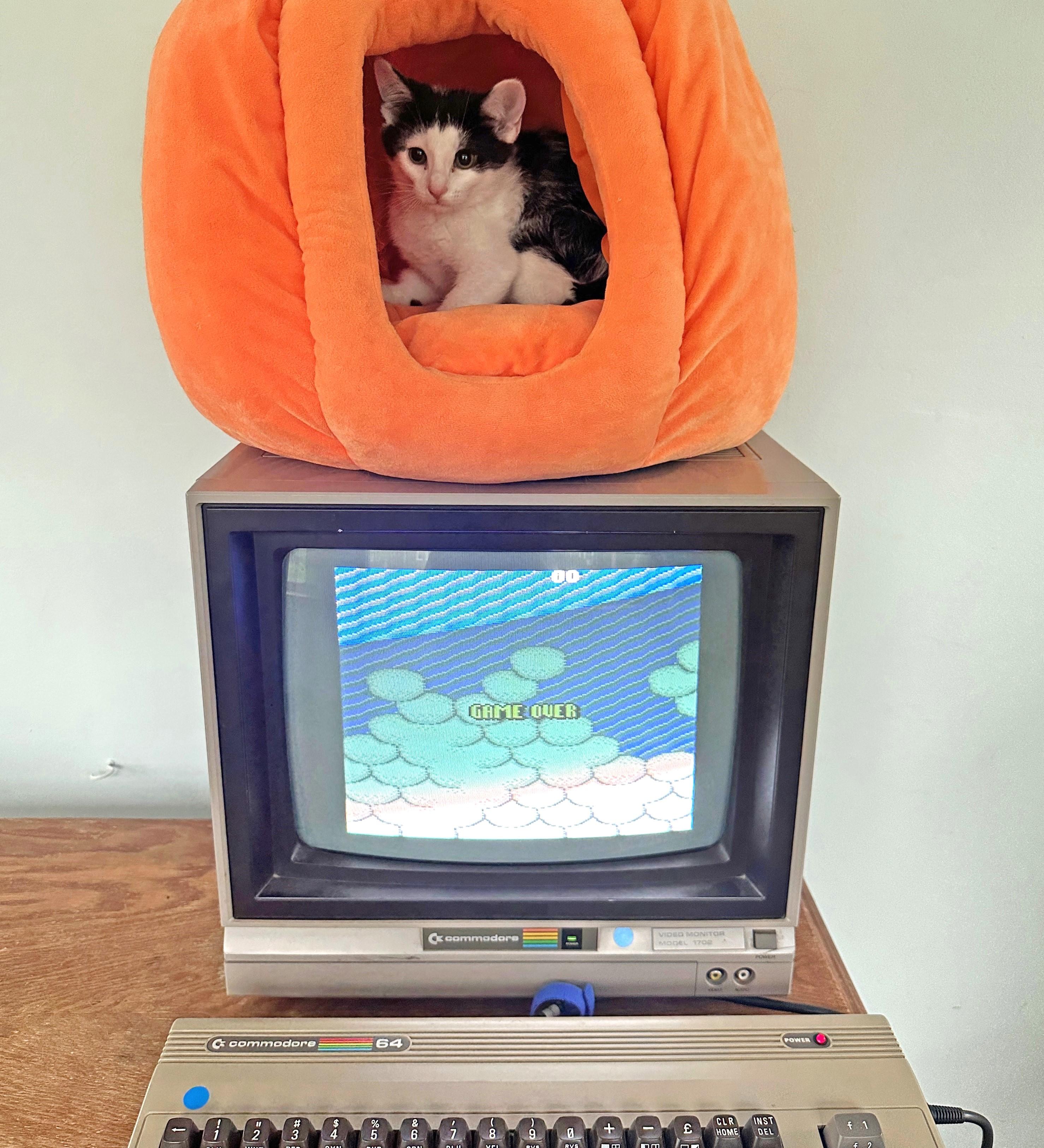 Commodore 64 (Dorrie)