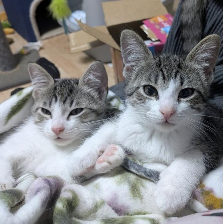Luke and Leia