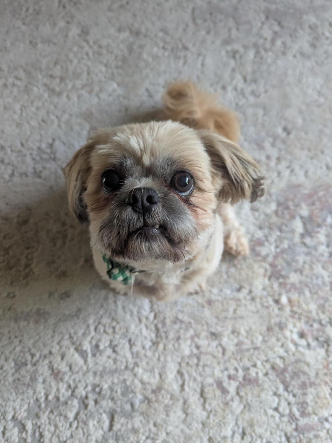 Tucker!!, Senior Male unknown