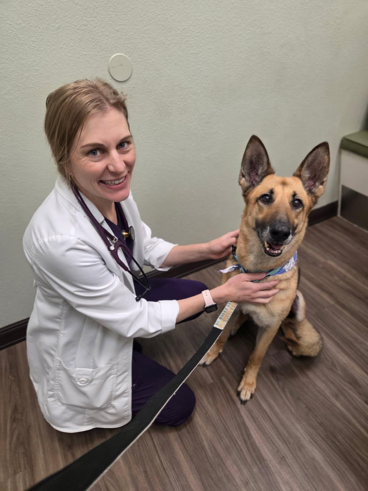 Enlarge Ella, a ADOPTABLE mixed breed in Murrieta, CA image 3/3