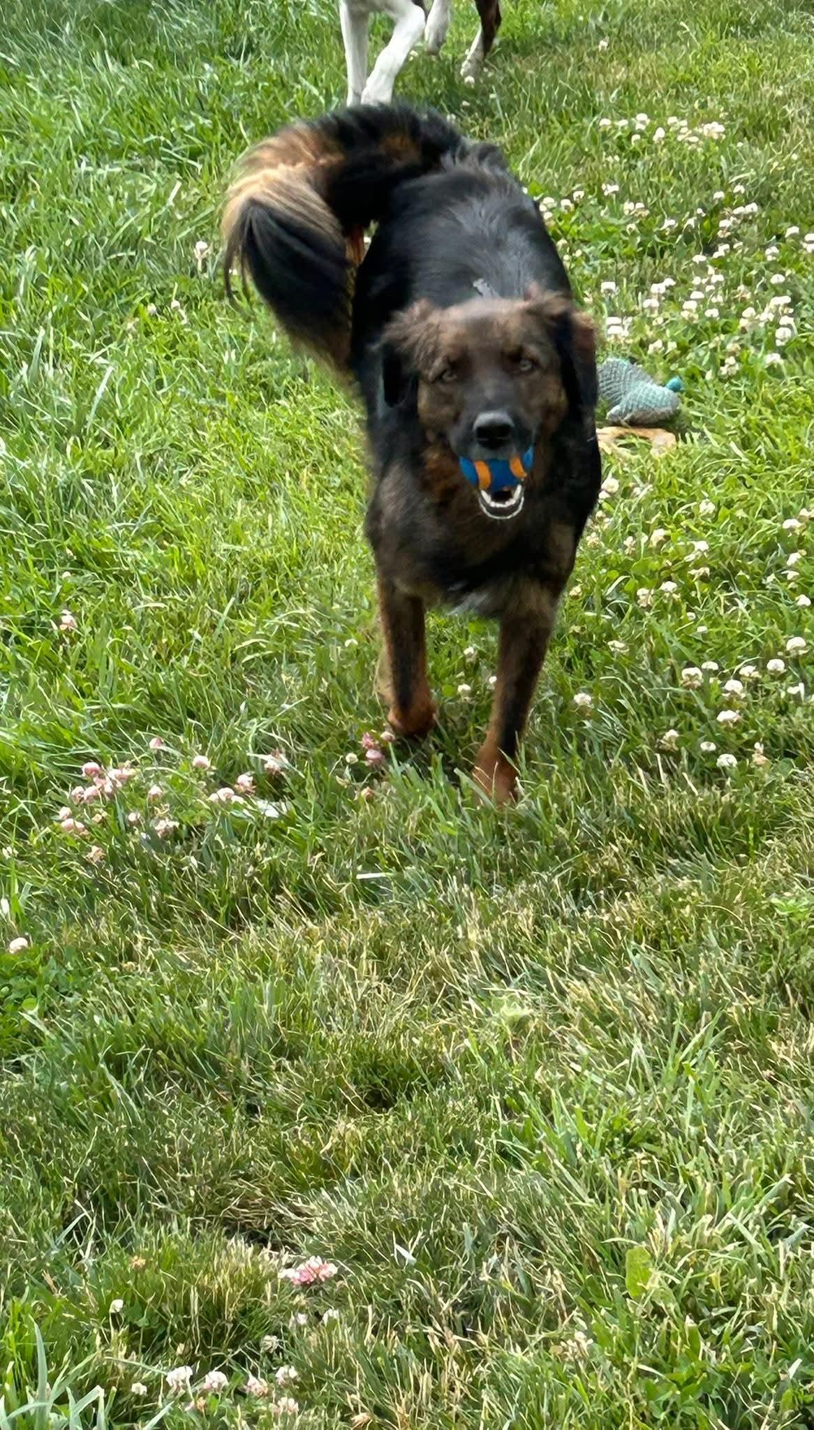 Charko