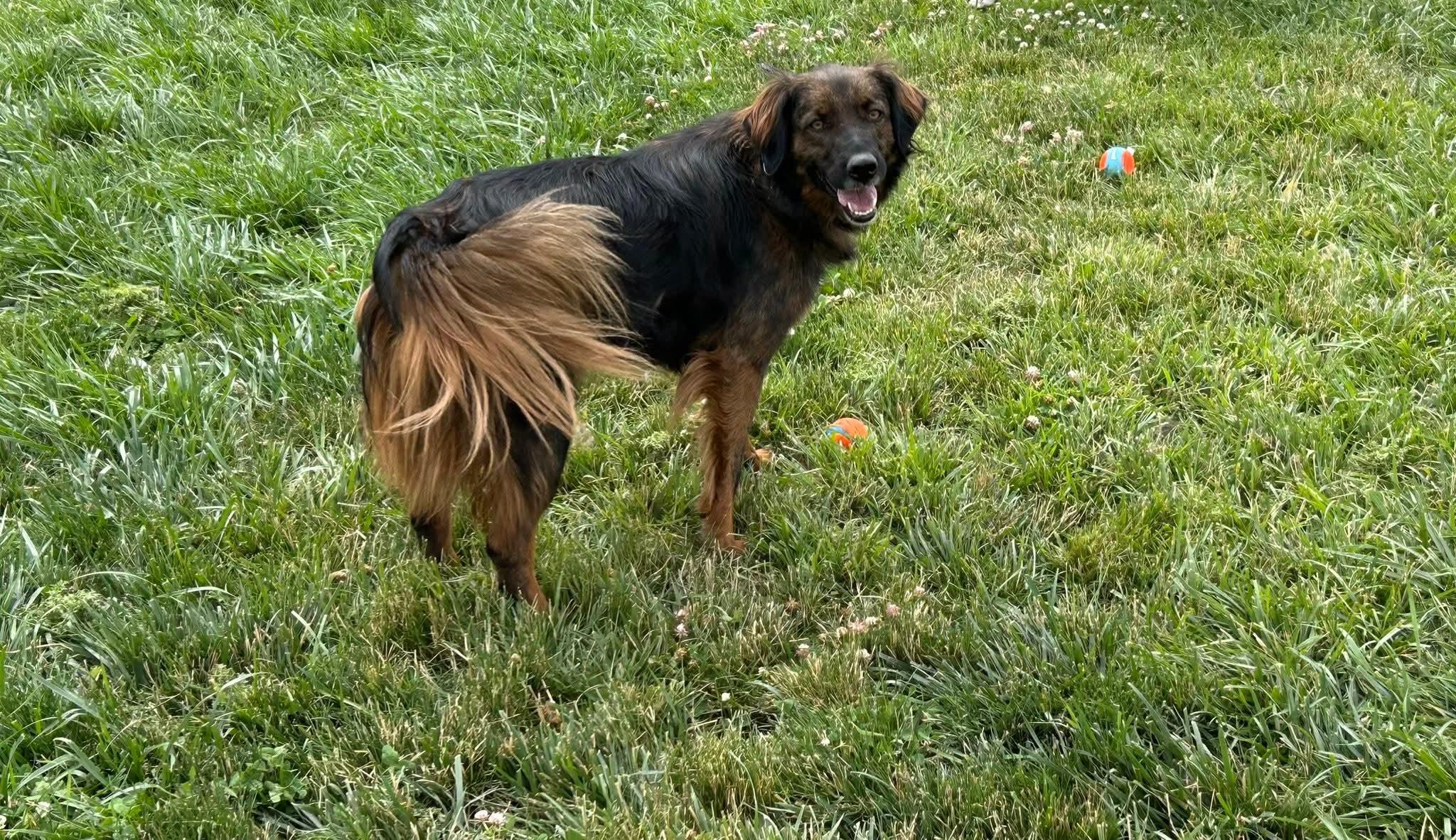 Charko