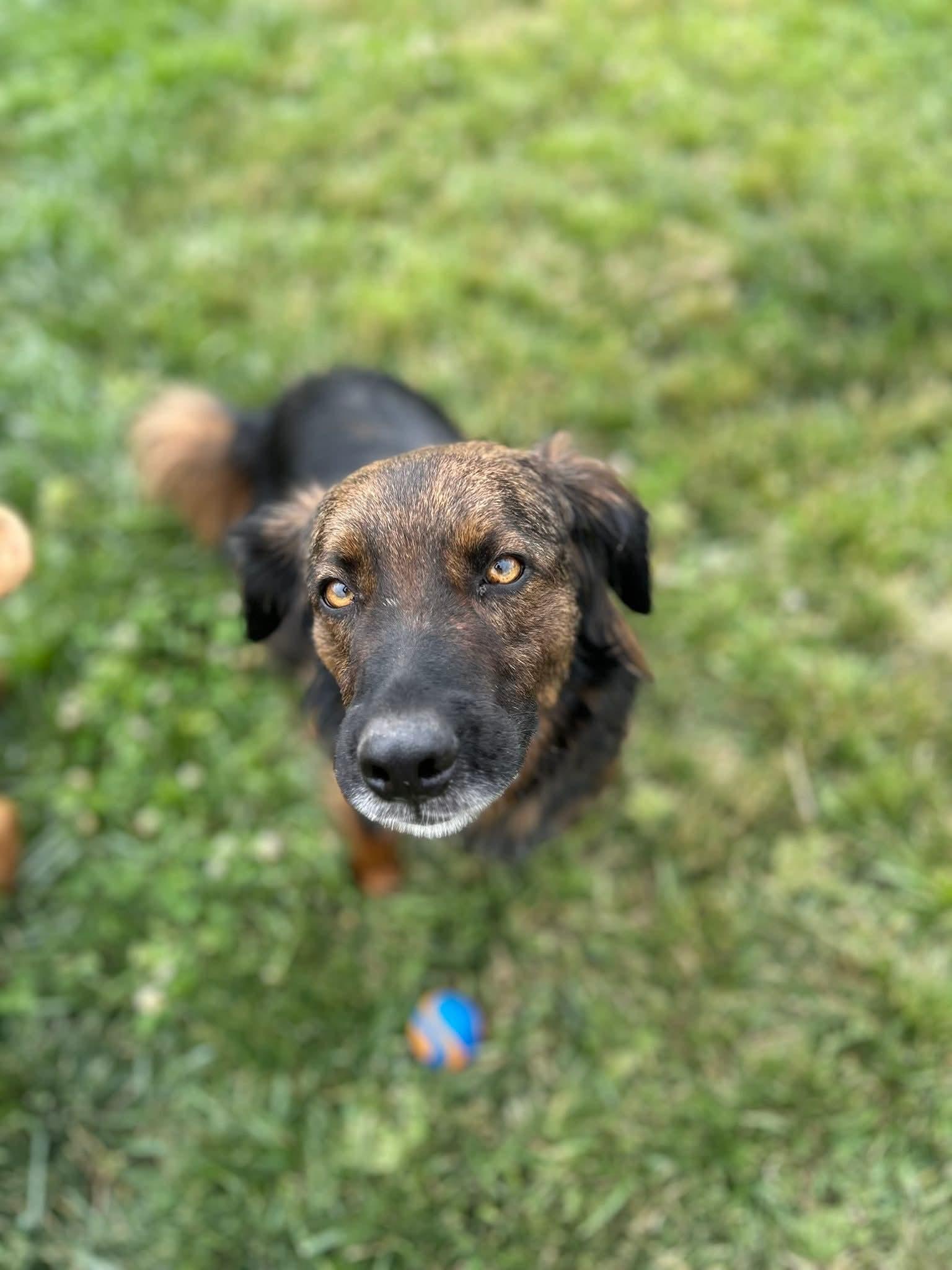 Charko