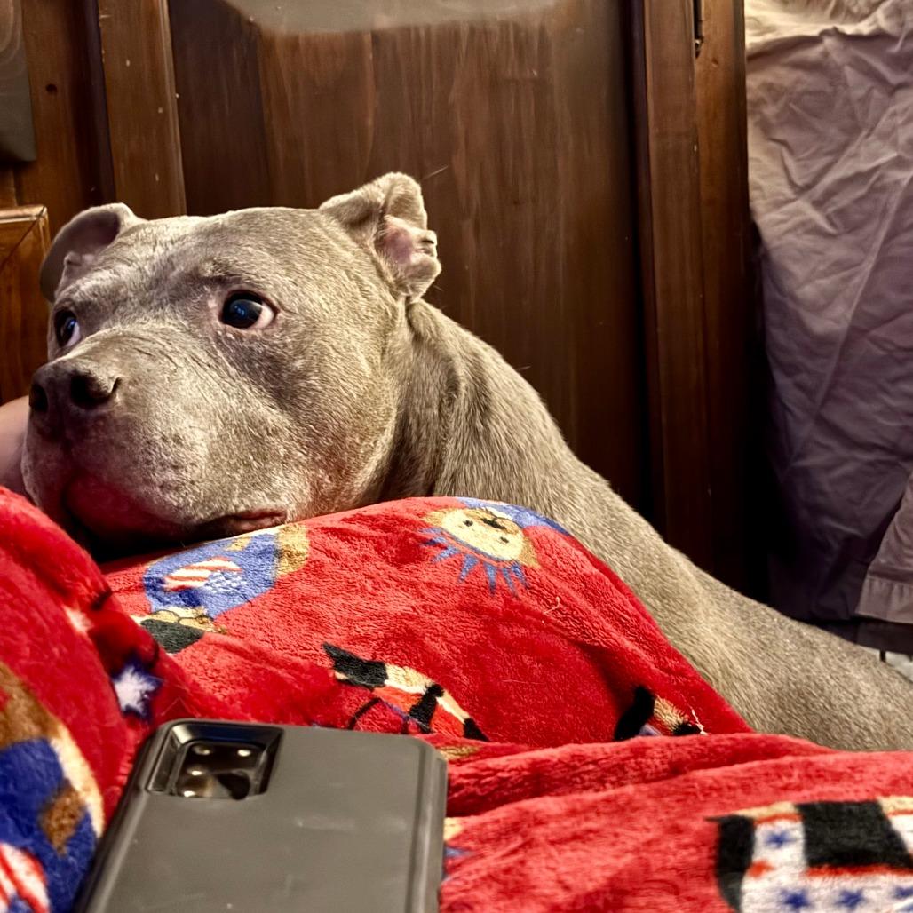 Momma — thumbnail 2