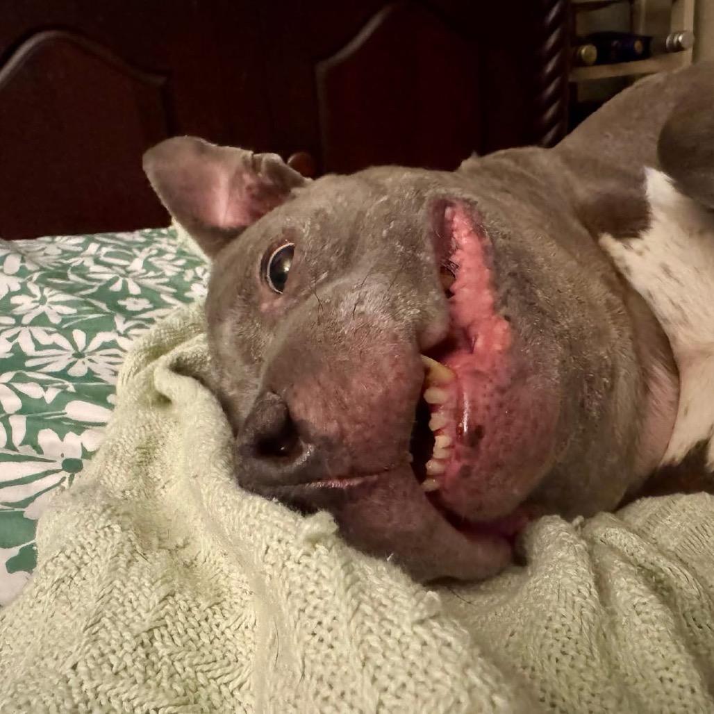 Momma — thumbnail 4