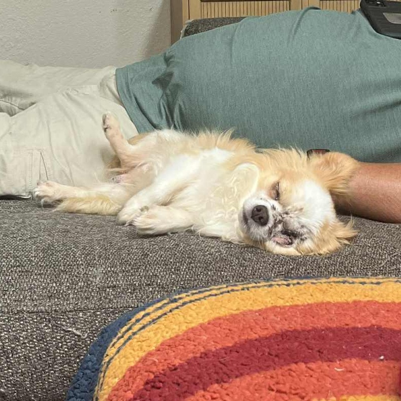 Nugz