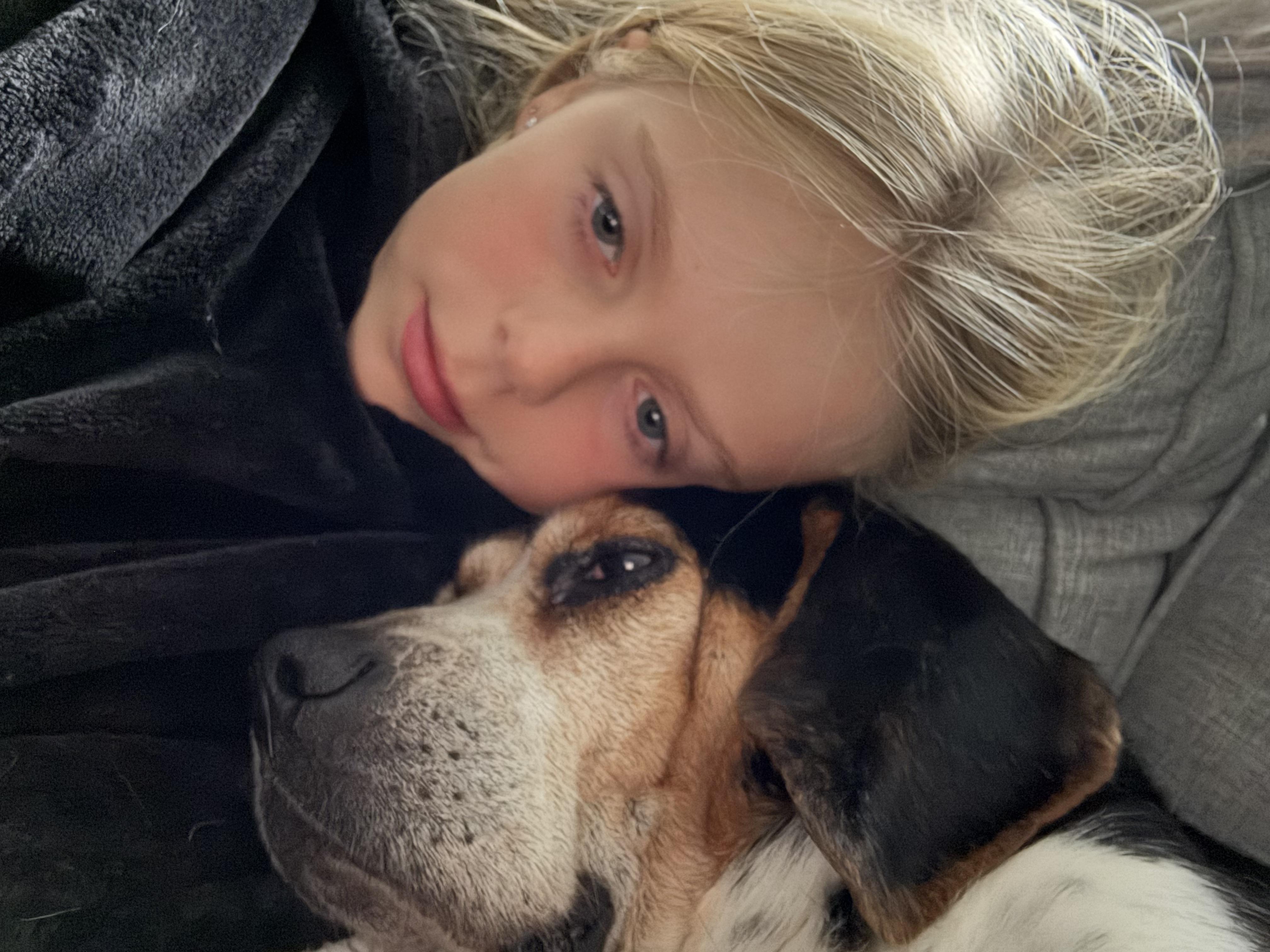 Mortimer FKA Benny , an adopted mixed breed in Mahwah, NJ image 2/5