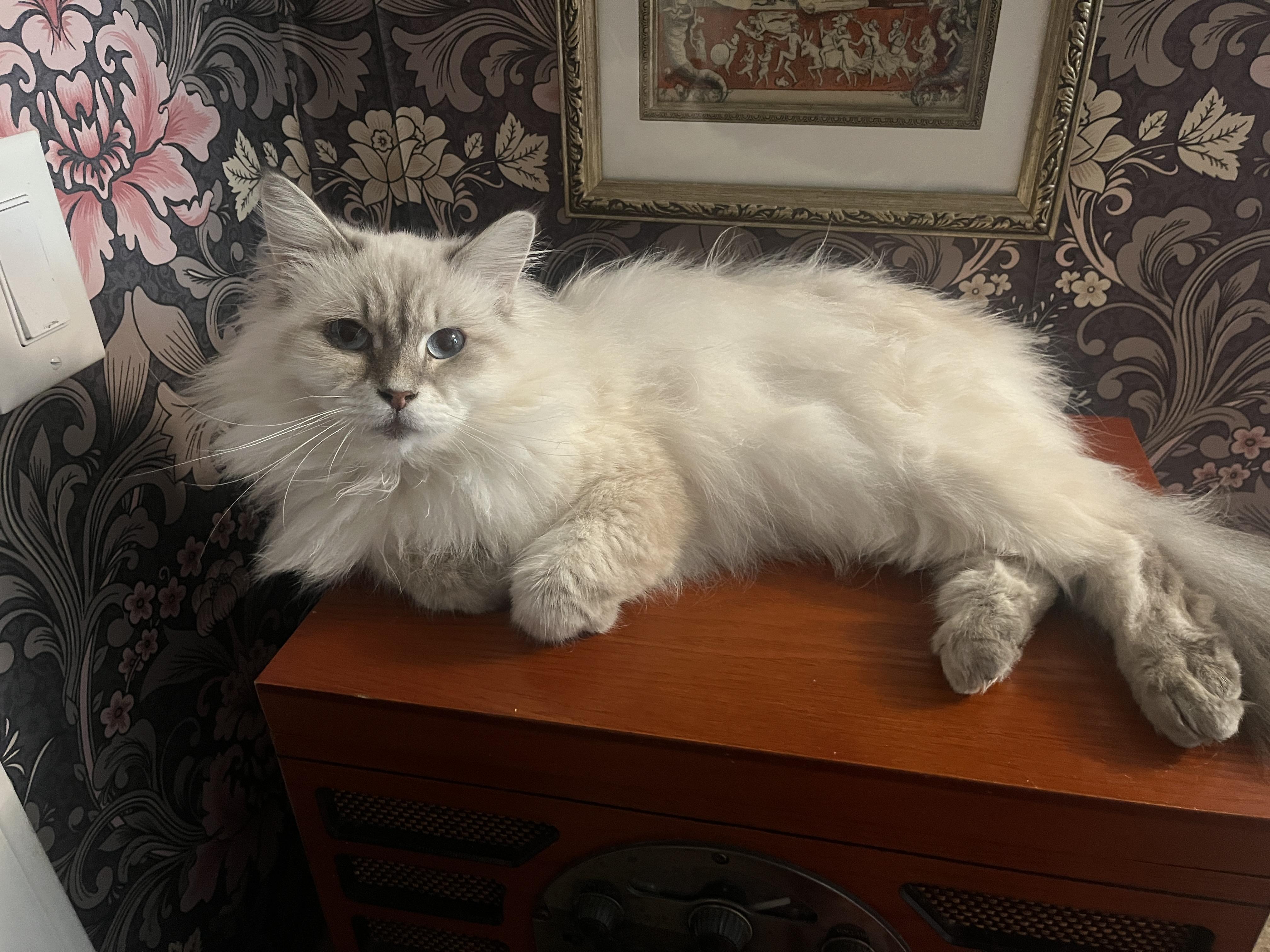 Anastasia and Annabelle