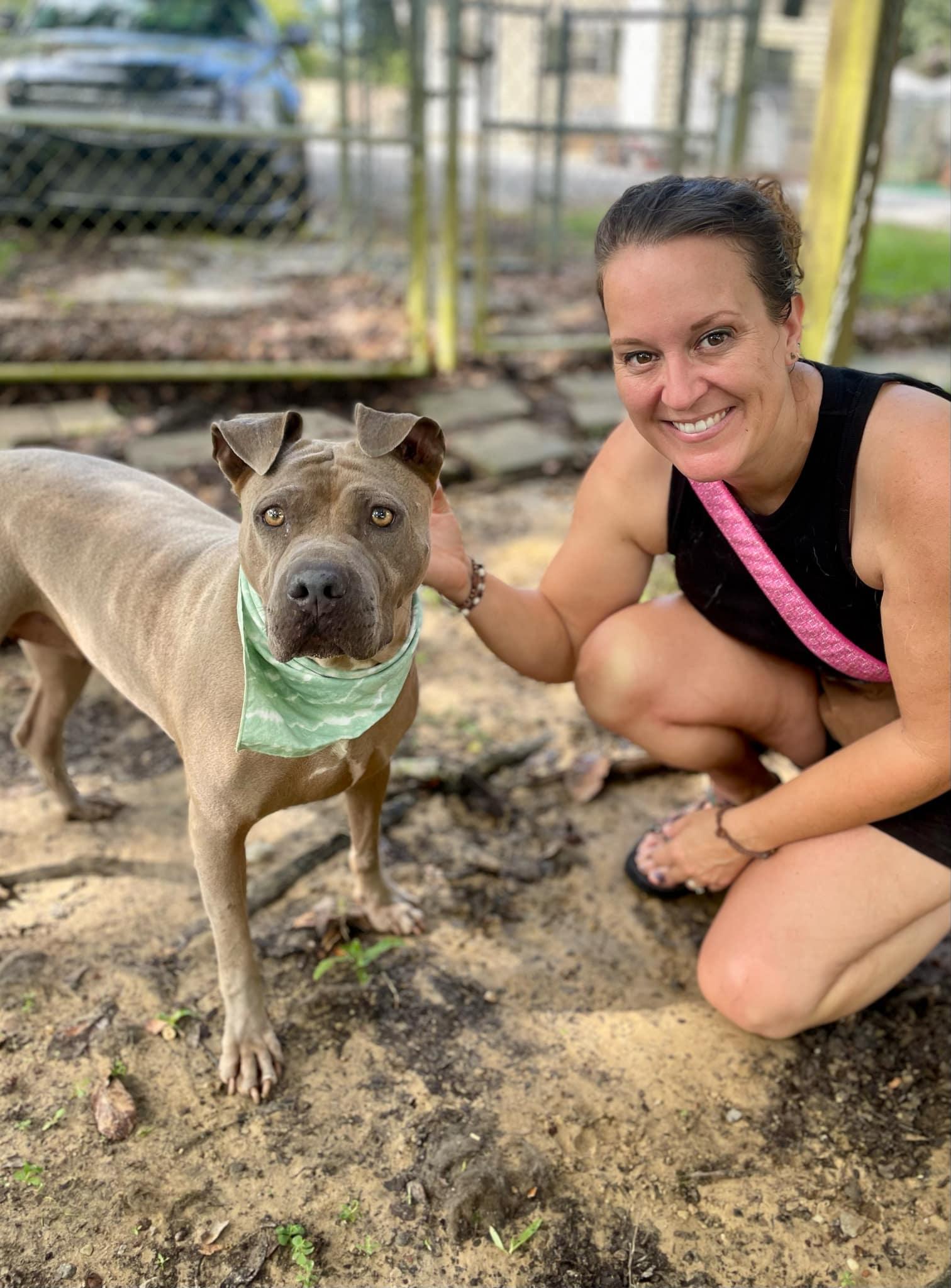 Enlarge Scarlett, a Adoptable mixed breed in Gulfport, MS image 3/6