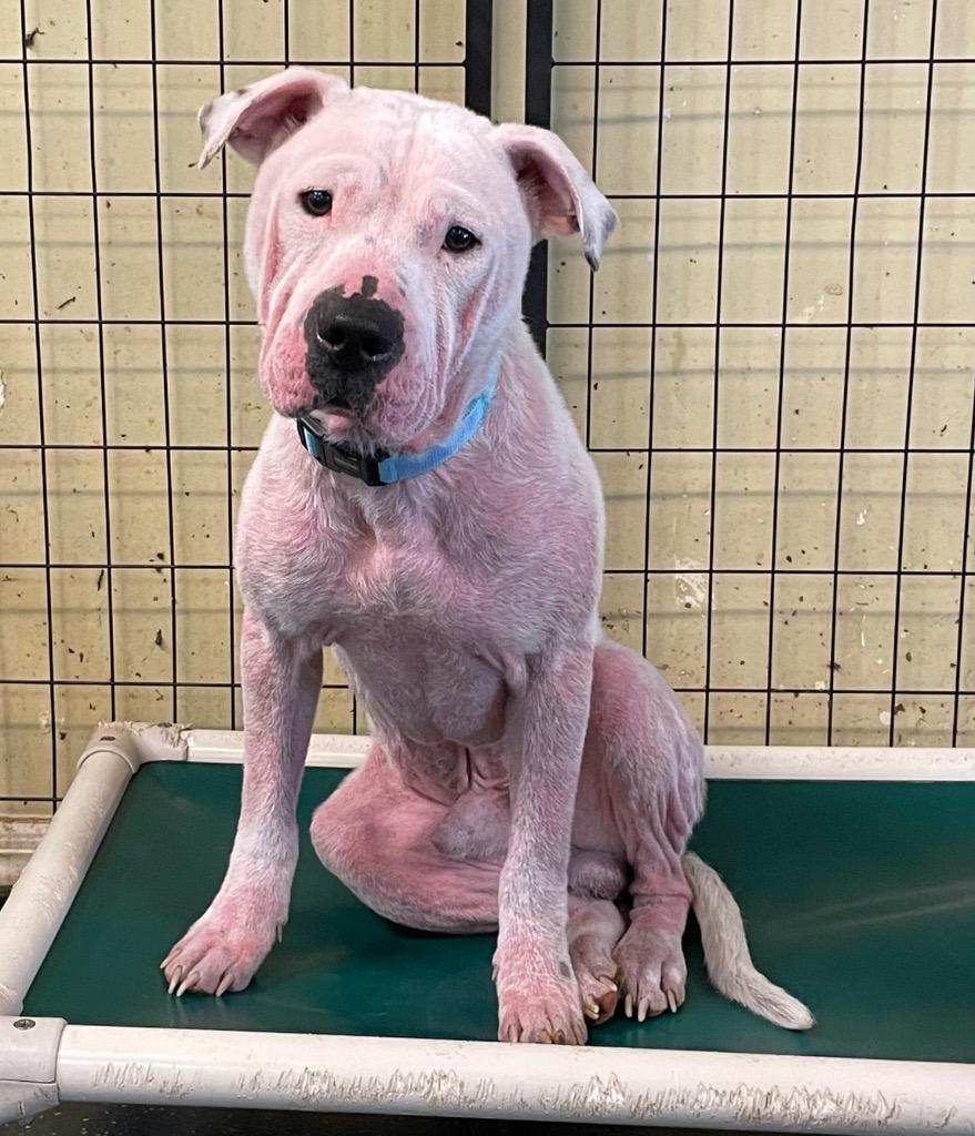 Cody — thumbnail 4