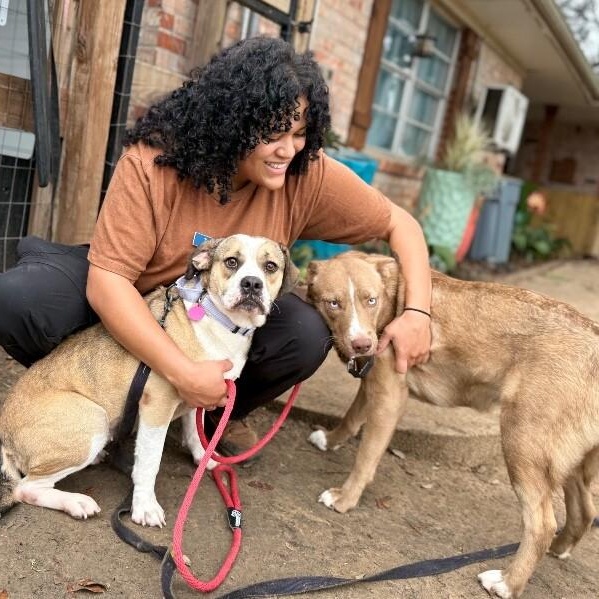 Lottie Love Bug — thumbnail 2