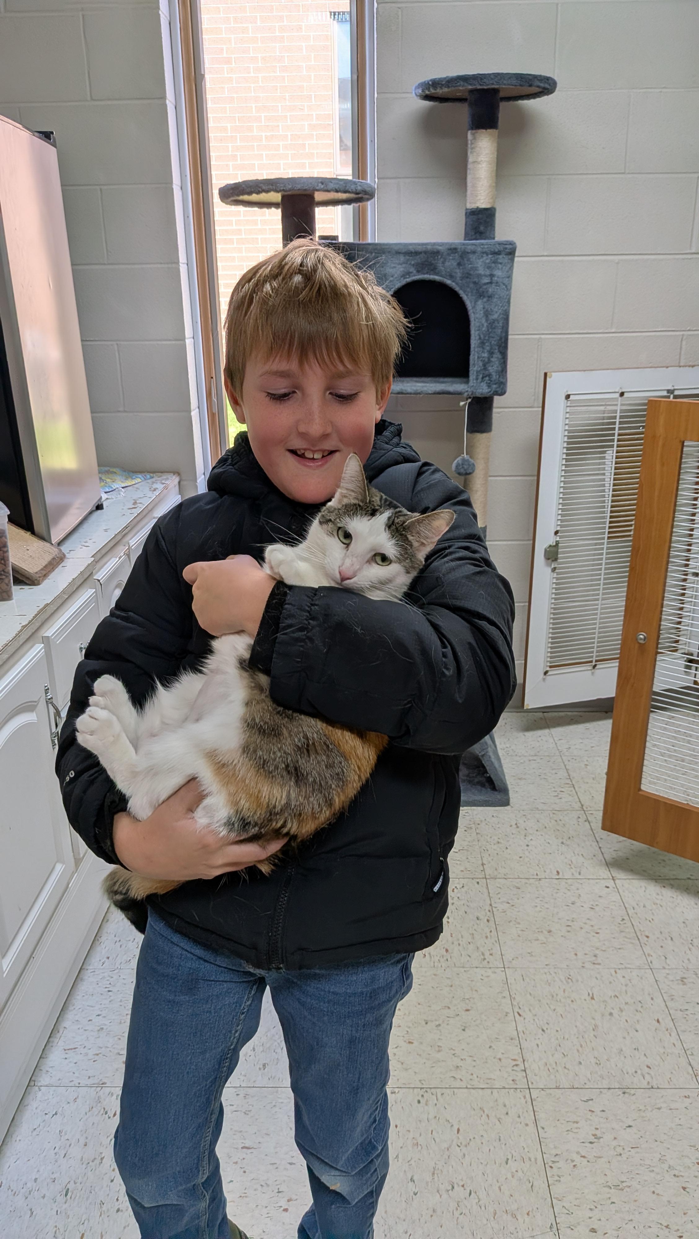 Clarice, a ADOPTABLE mixed breed in Aurora, IL image 4/5