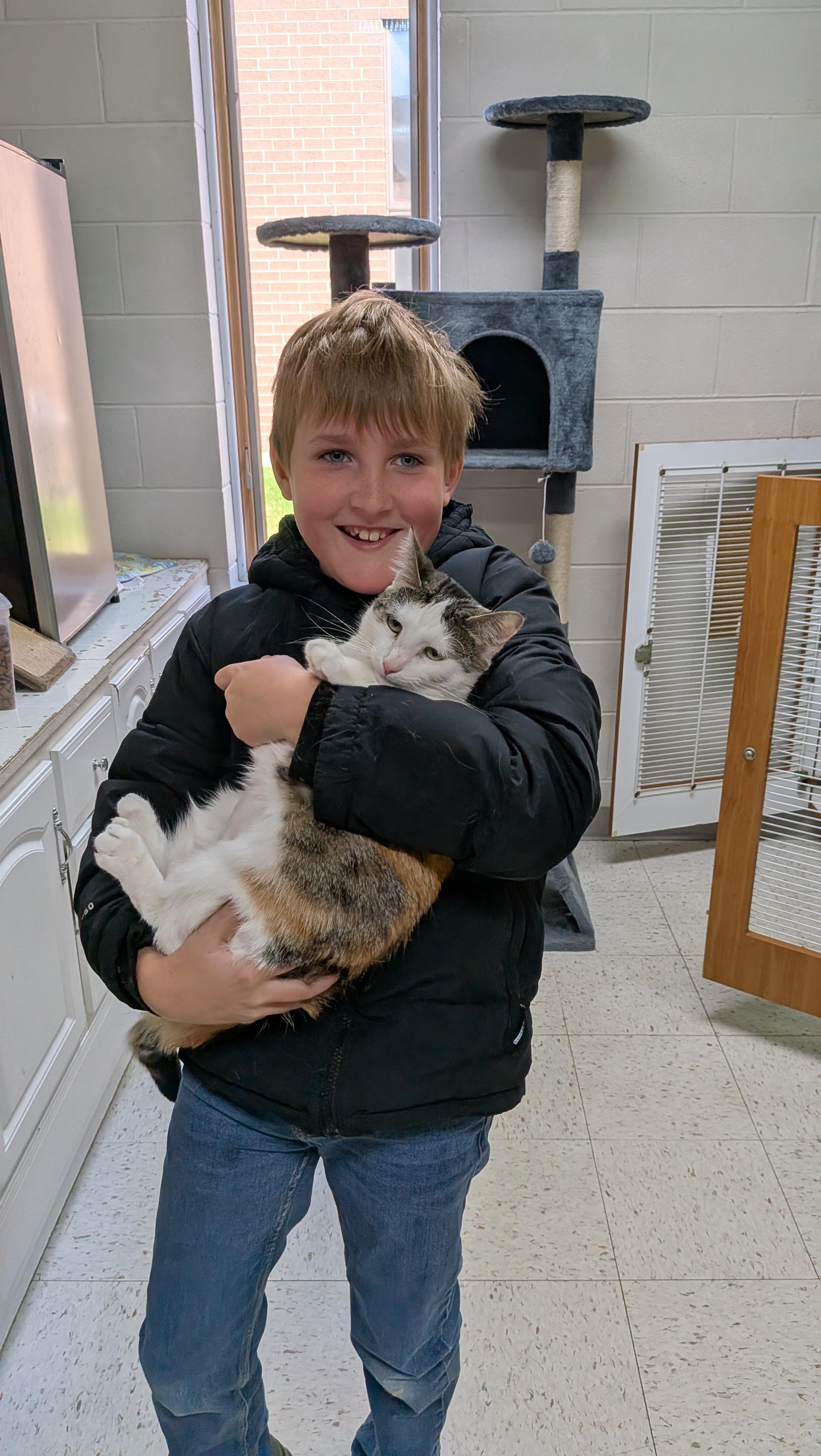 Clarice, a ADOPTABLE mixed breed in Aurora, IL image 3/5