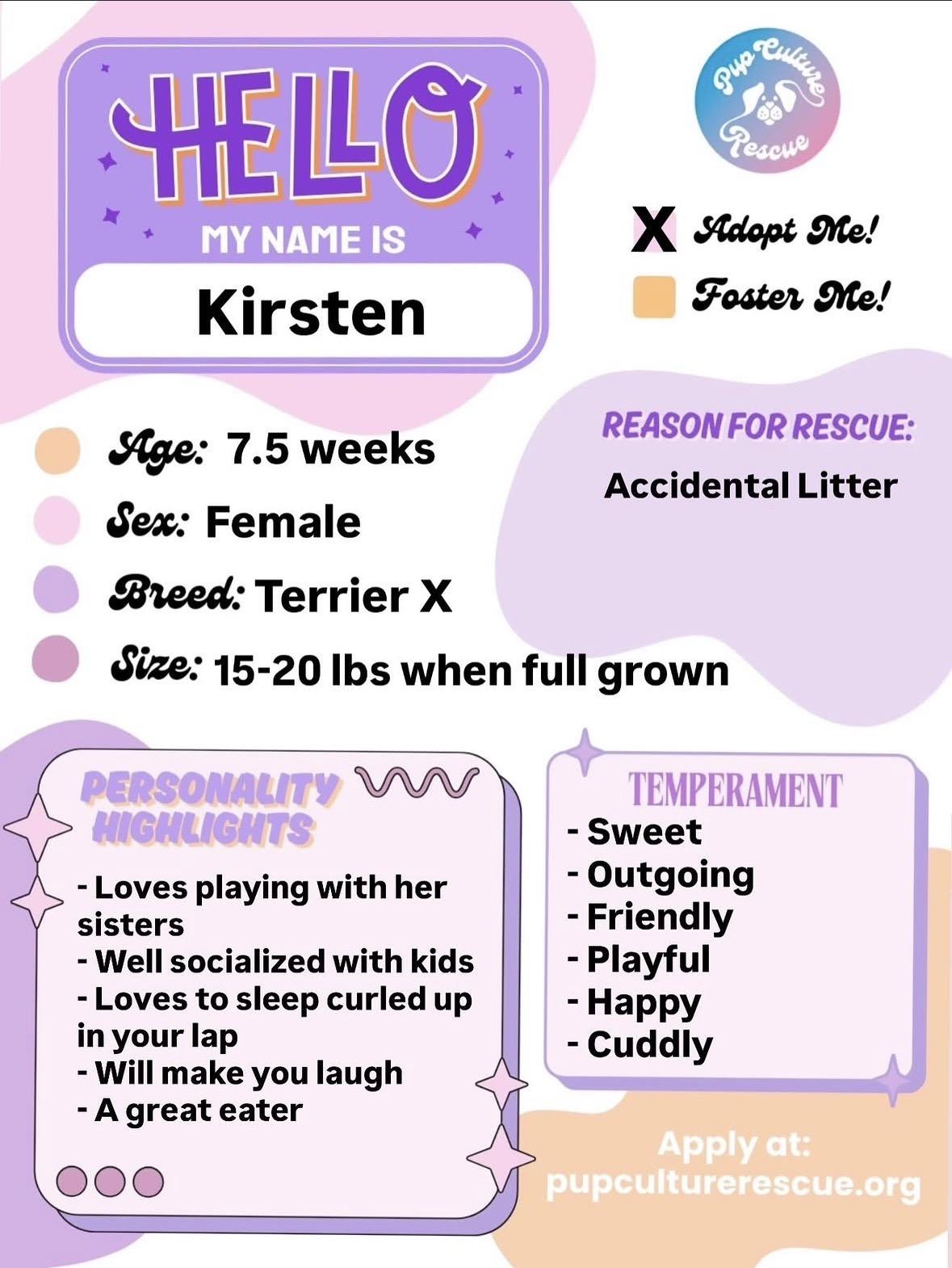 Enlarge Kirsten, a Adoptable mixed breed in Pasadena, CA image 2/5