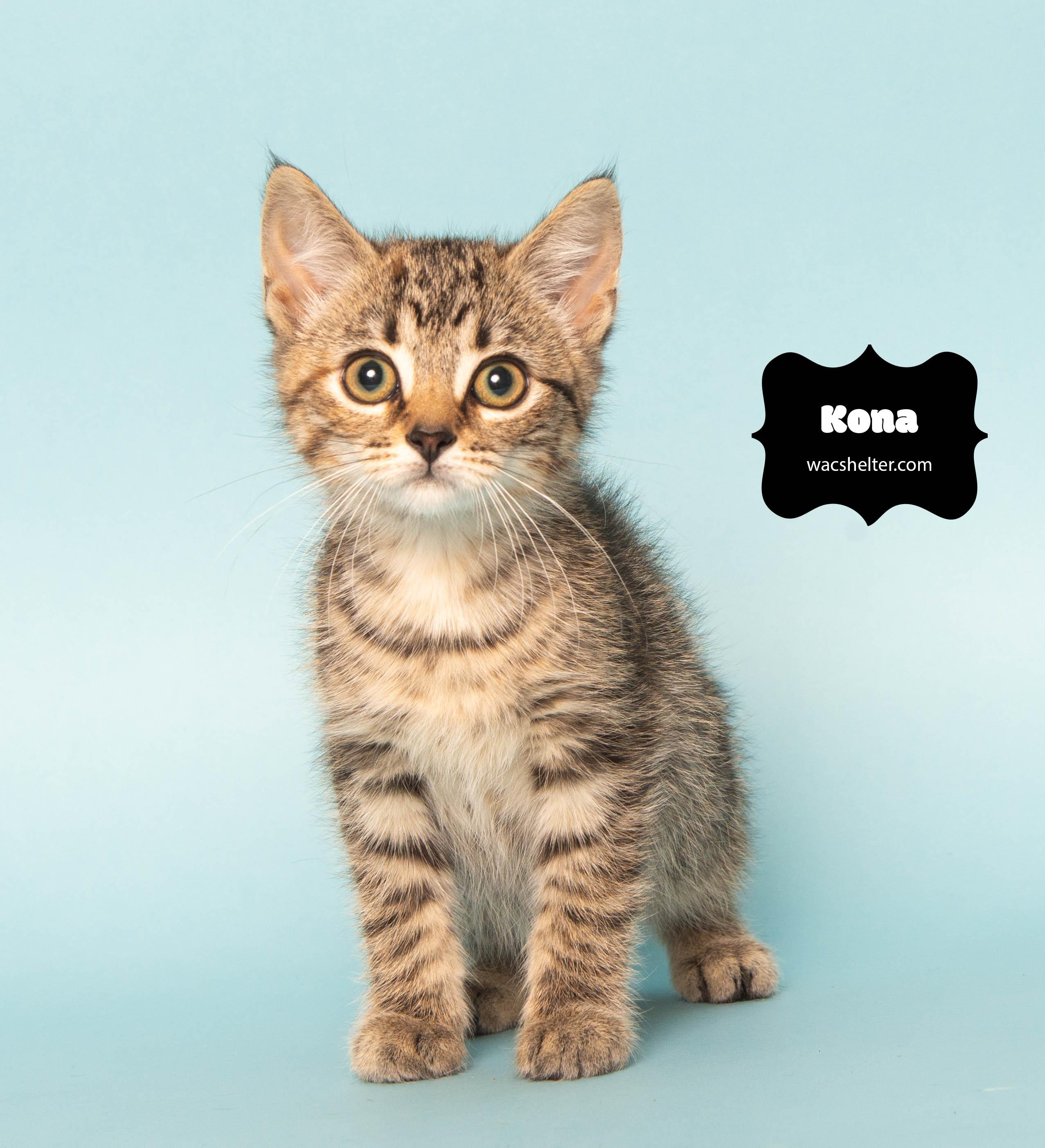 KONA