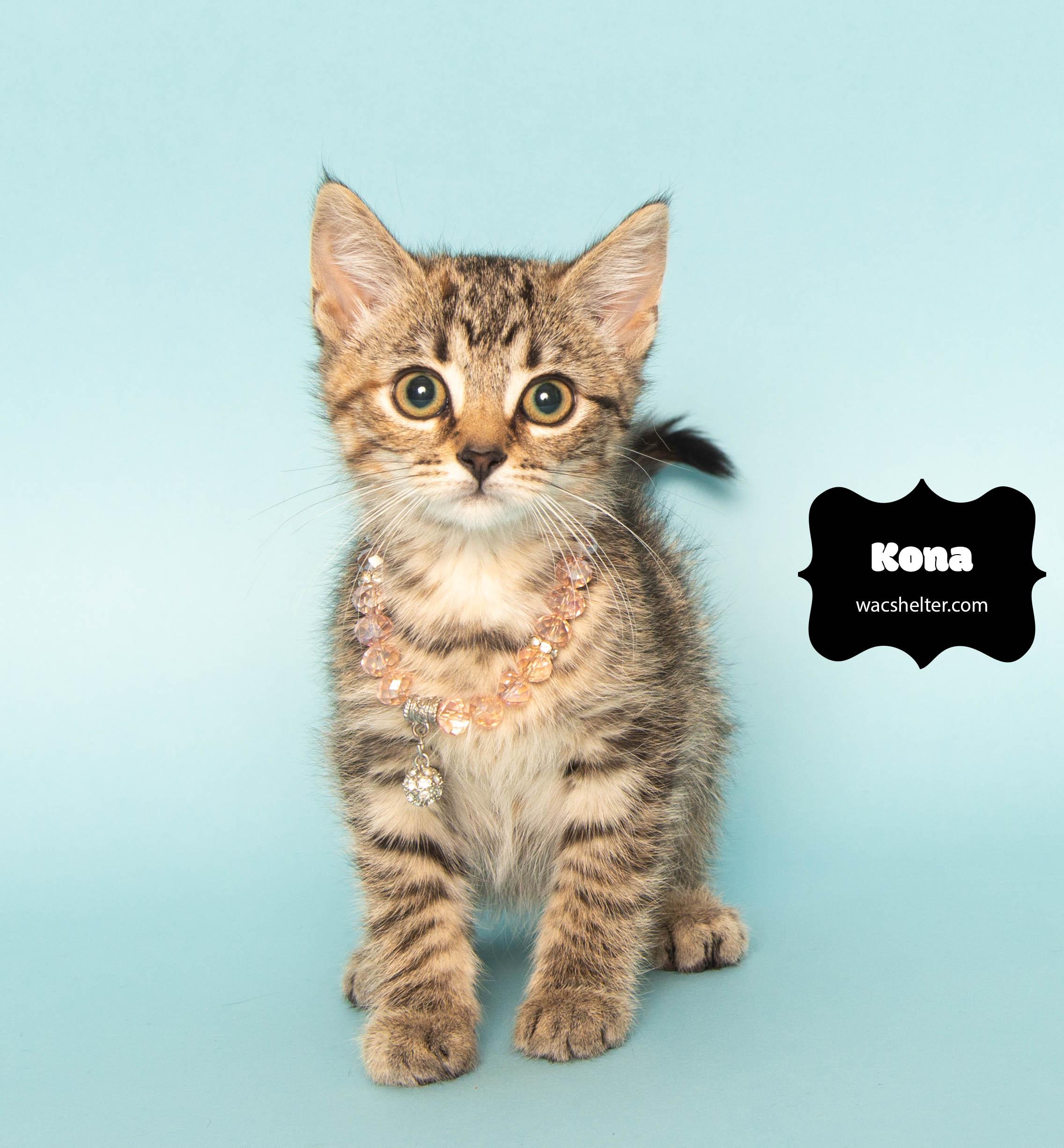KONA