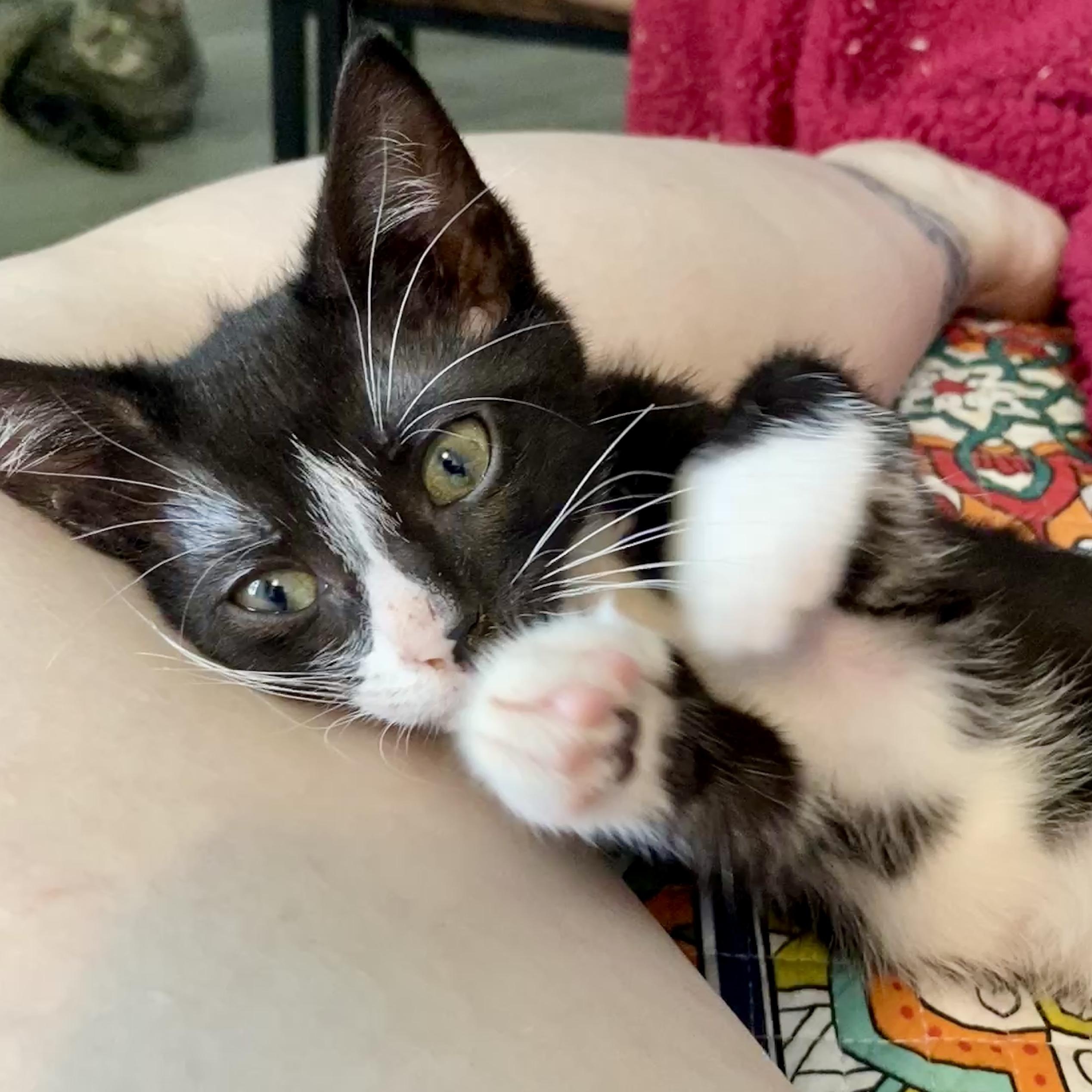 Oliver