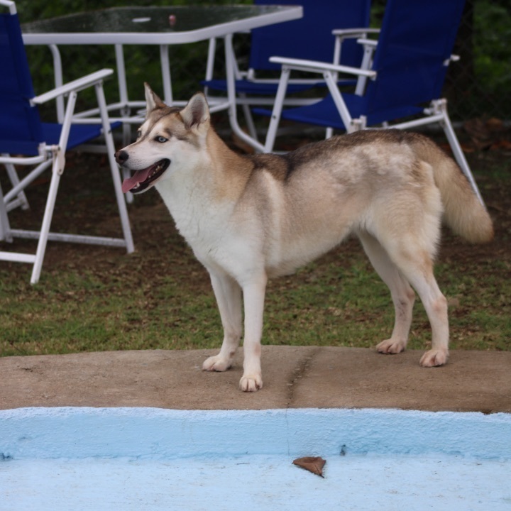 Lia 3